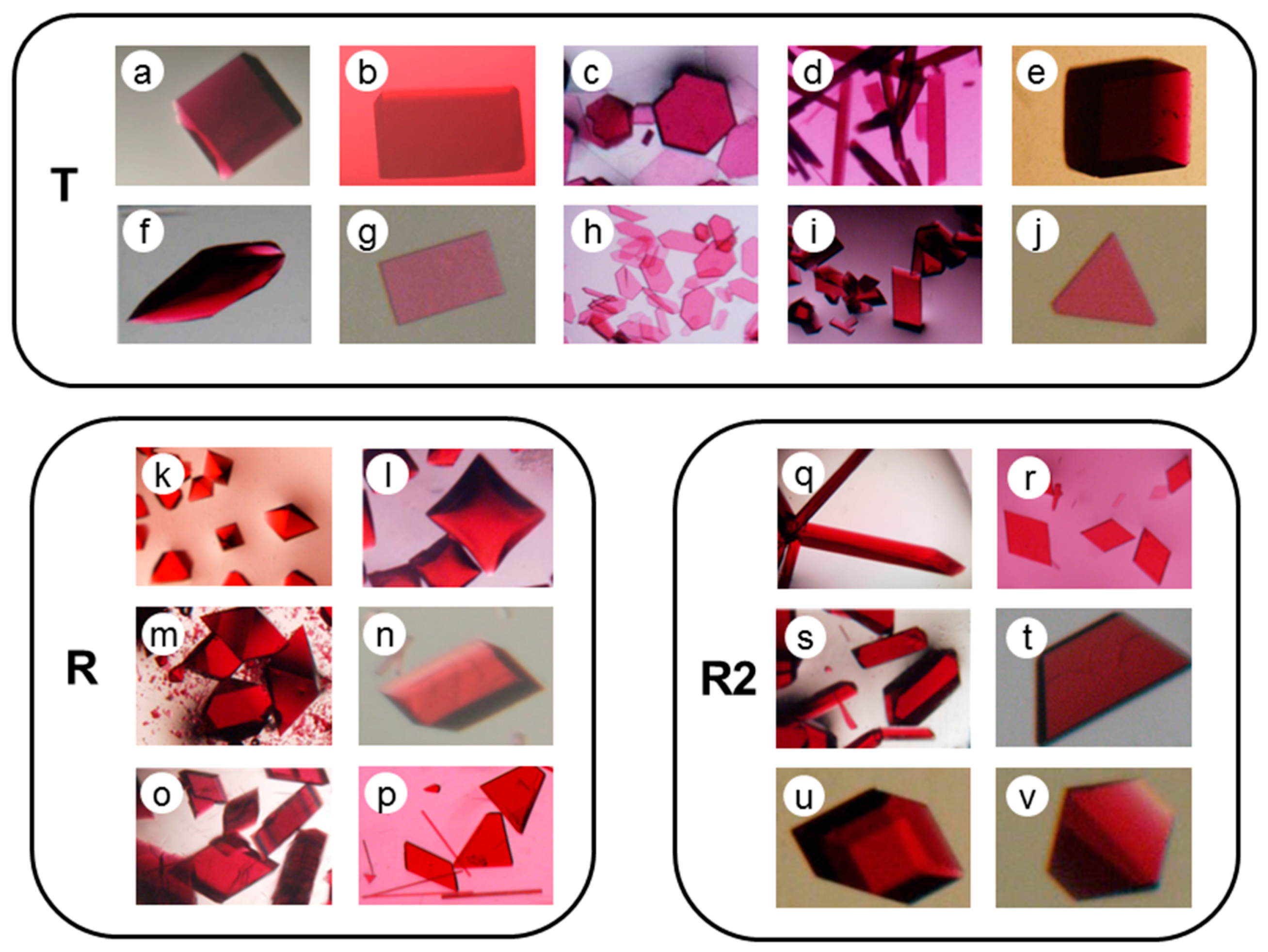 Crystals 07 00282 g001
