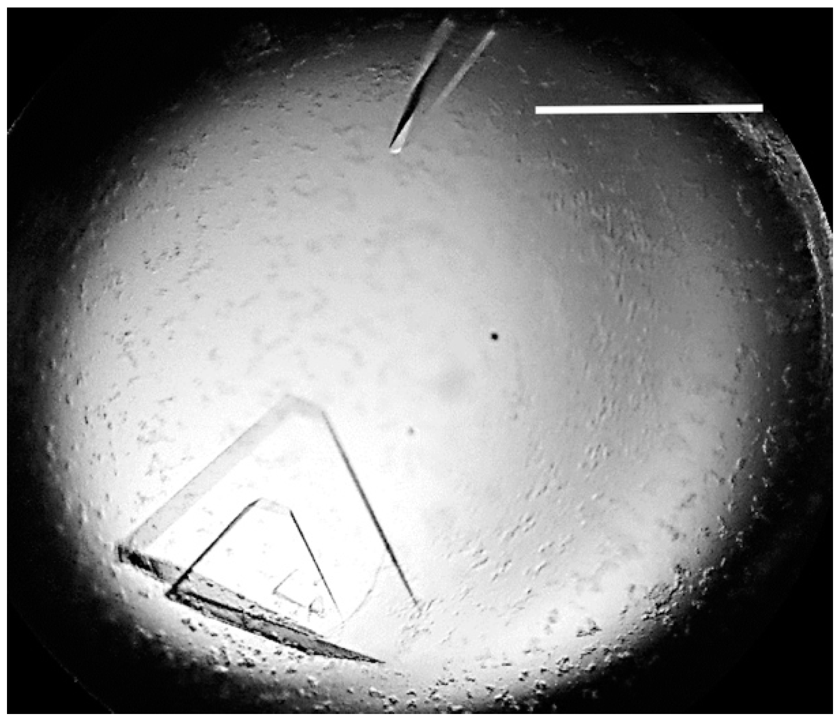 Crystals 07 00330 g003