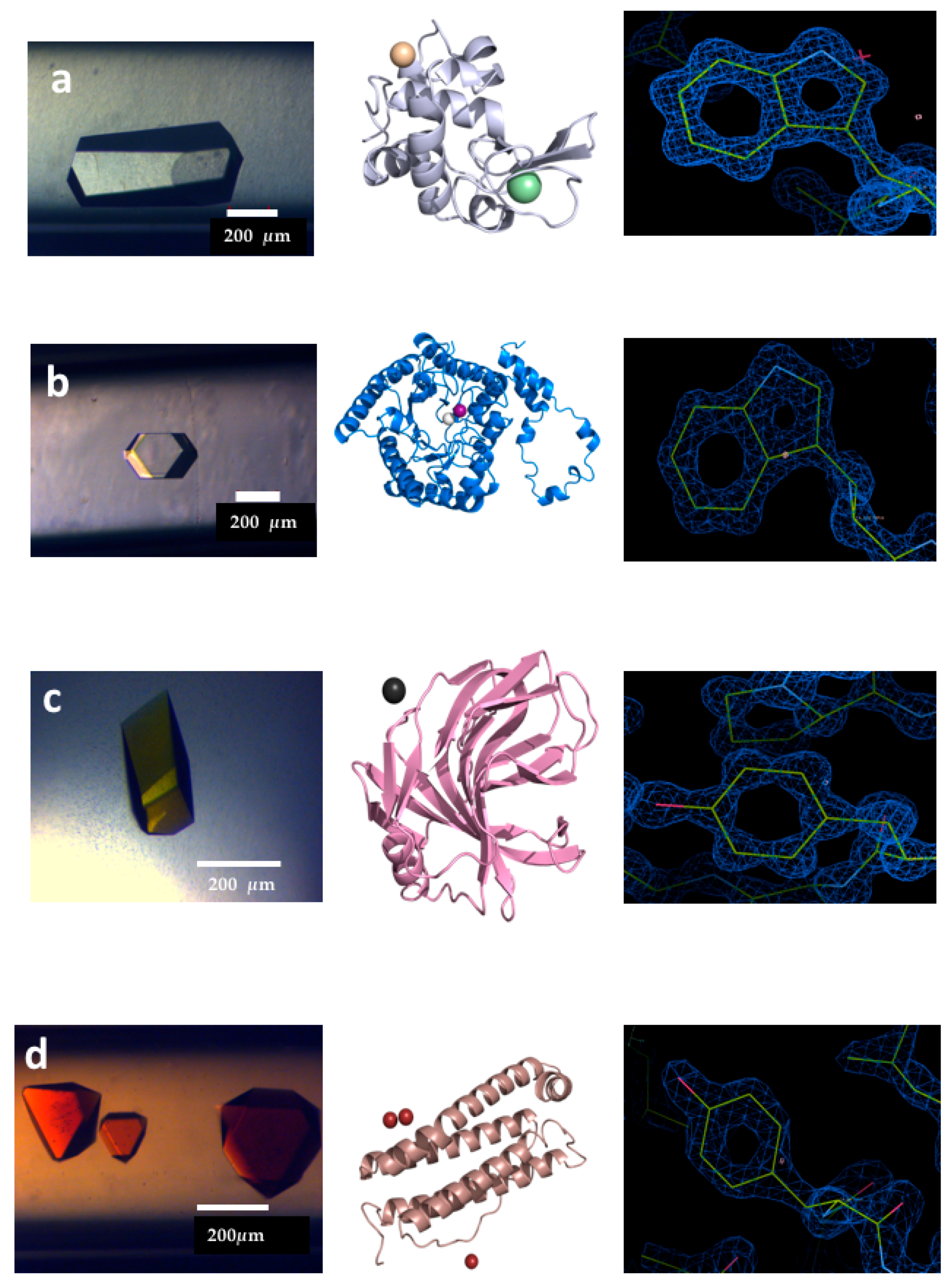 Crystals 08 00340 g004 Crystals 08 00340 g004