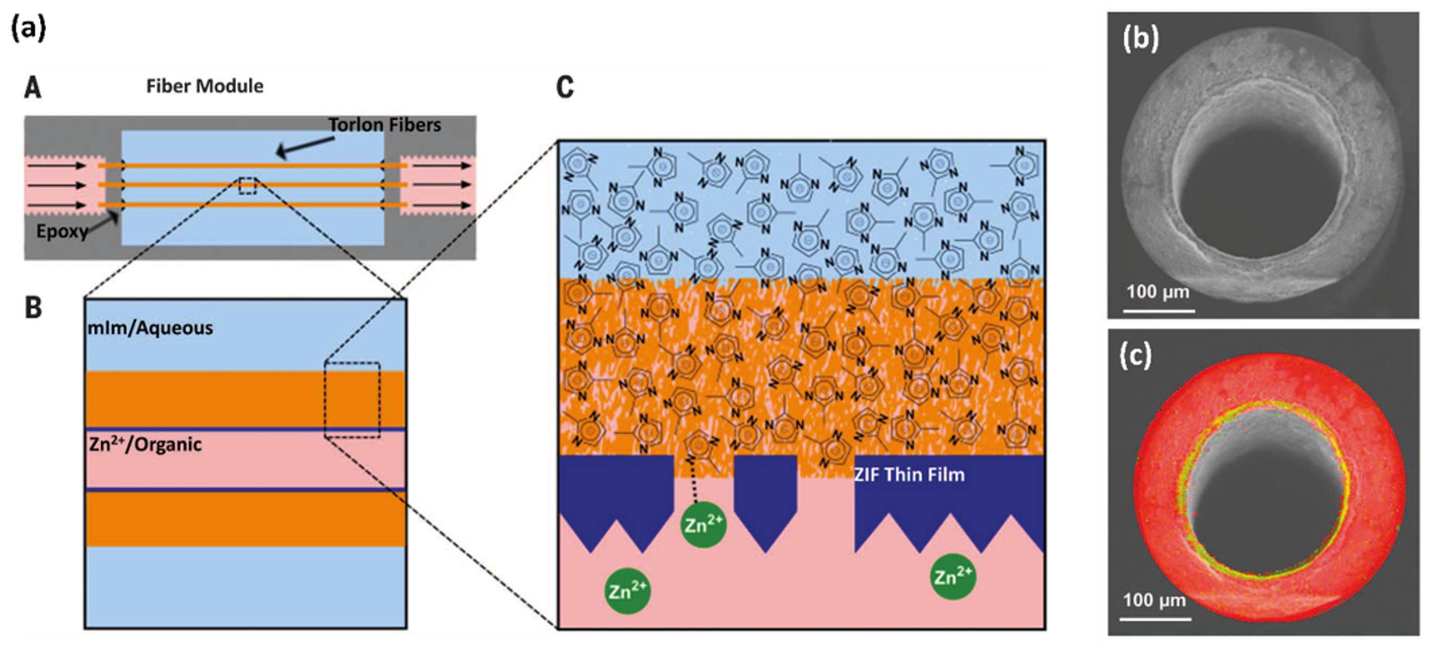 Crystals 09 00014 g007
