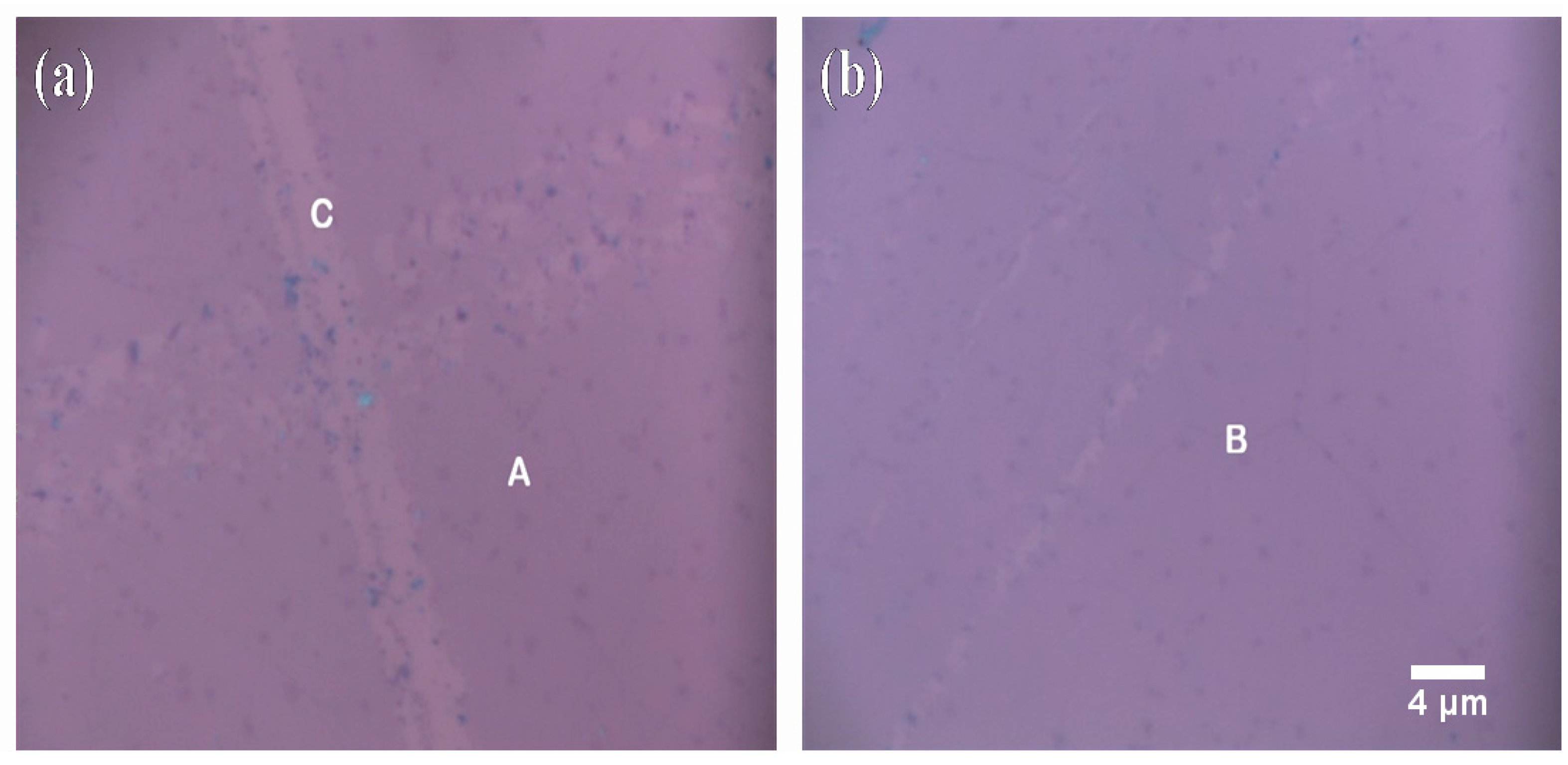 Crystals 13 01357 g008