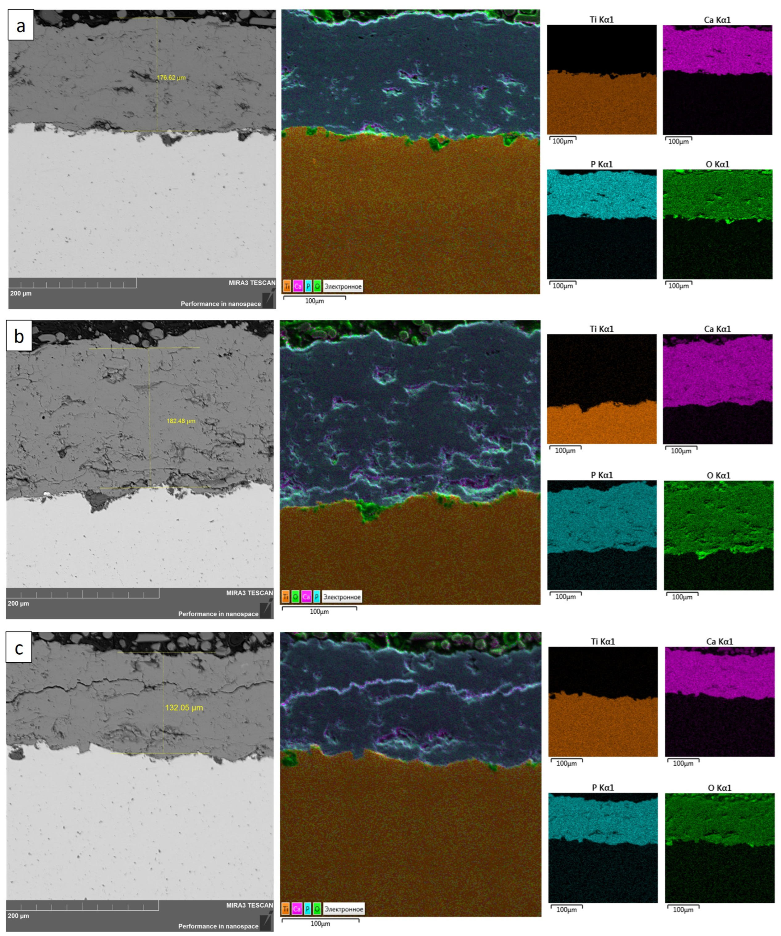 Crystals 13 01564 g005