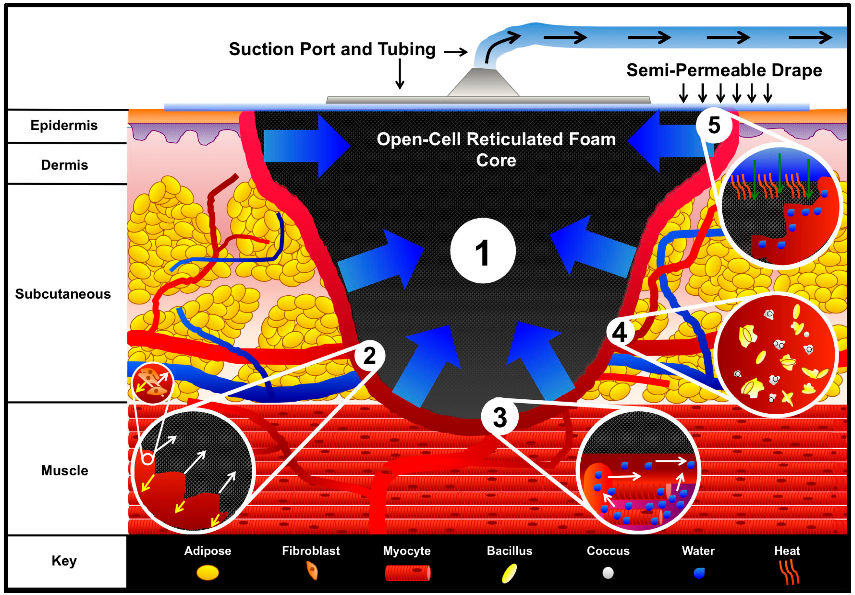 download diffusion processes experiment