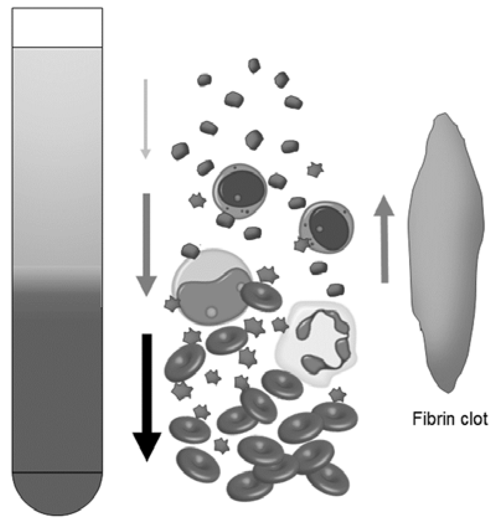 Dentistry 05 00007 g007