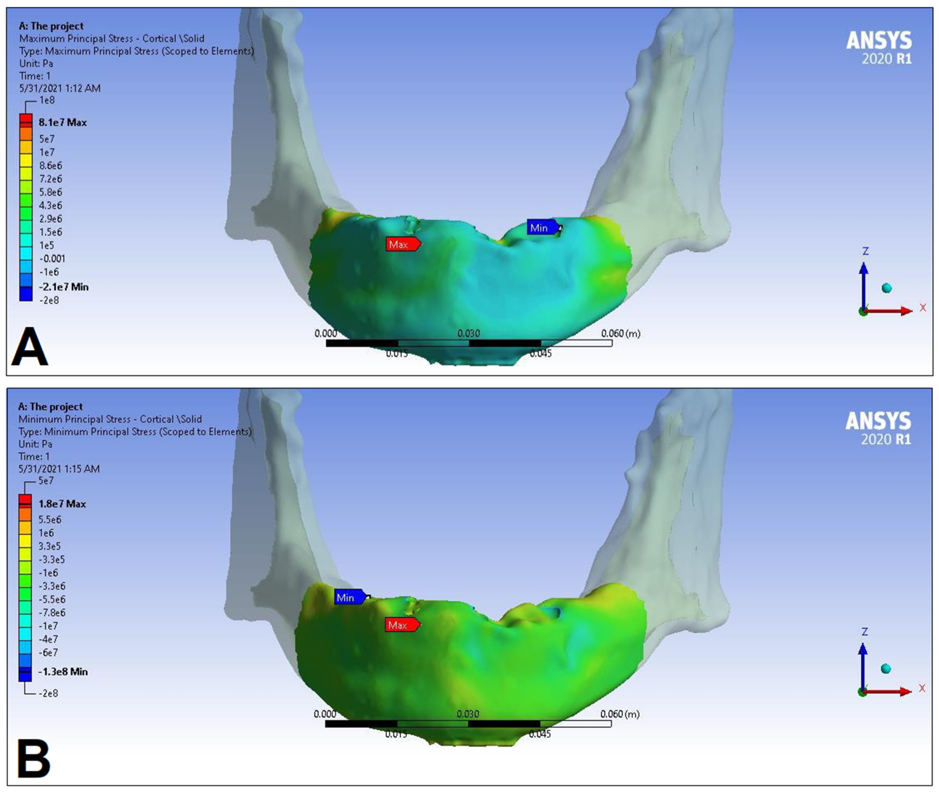 Dentistry 11 00261 g012