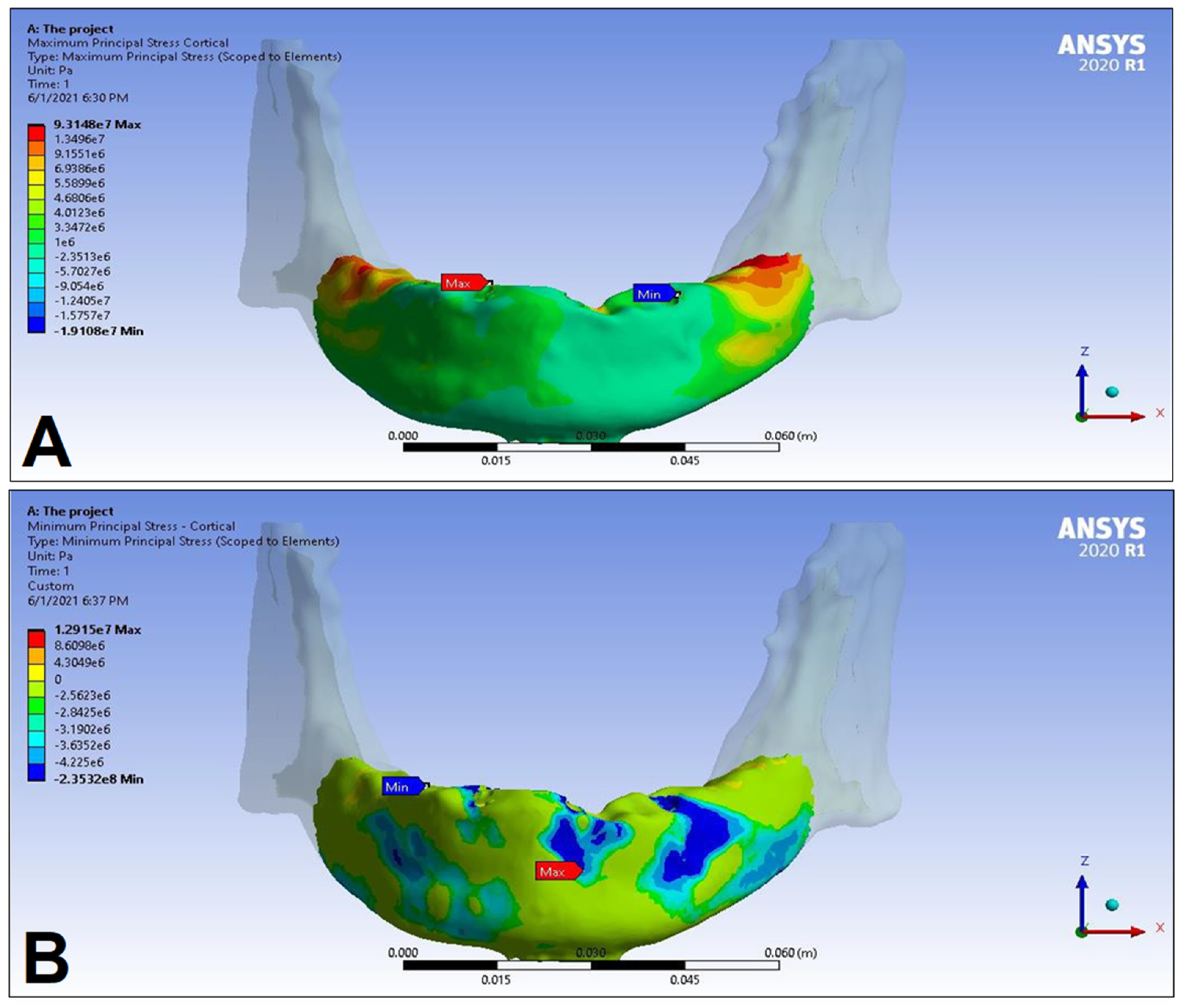 Dentistry 11 00261 g013