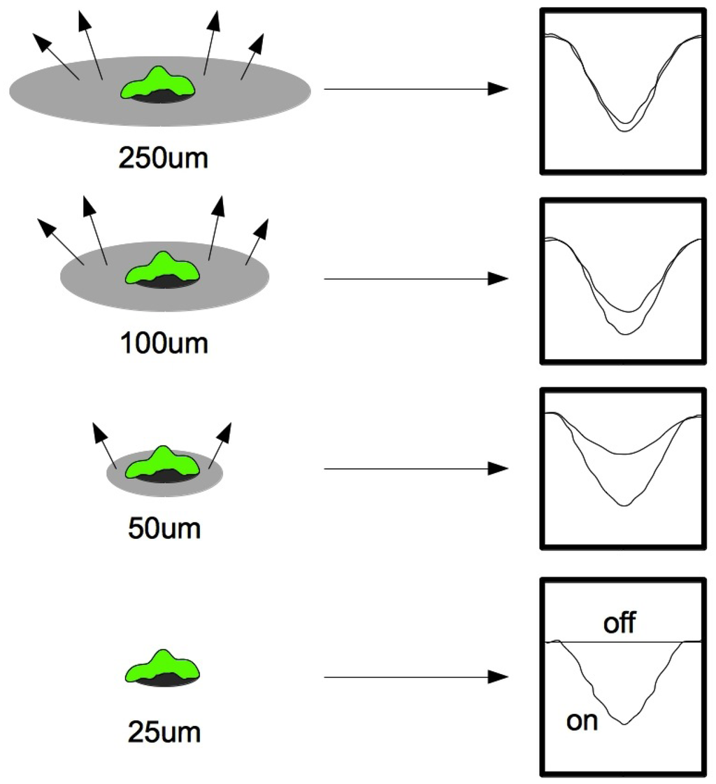 Diagnostics 02 00083 g001 1024