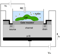 Diagnostics 02 00083 g002 200
