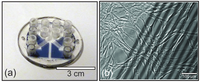 Diagnostics 02 00083 g004 200