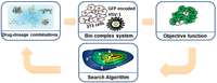 Diagnostics 03 00126 g007 200