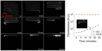 Diagnostics 03 00155 g003 200