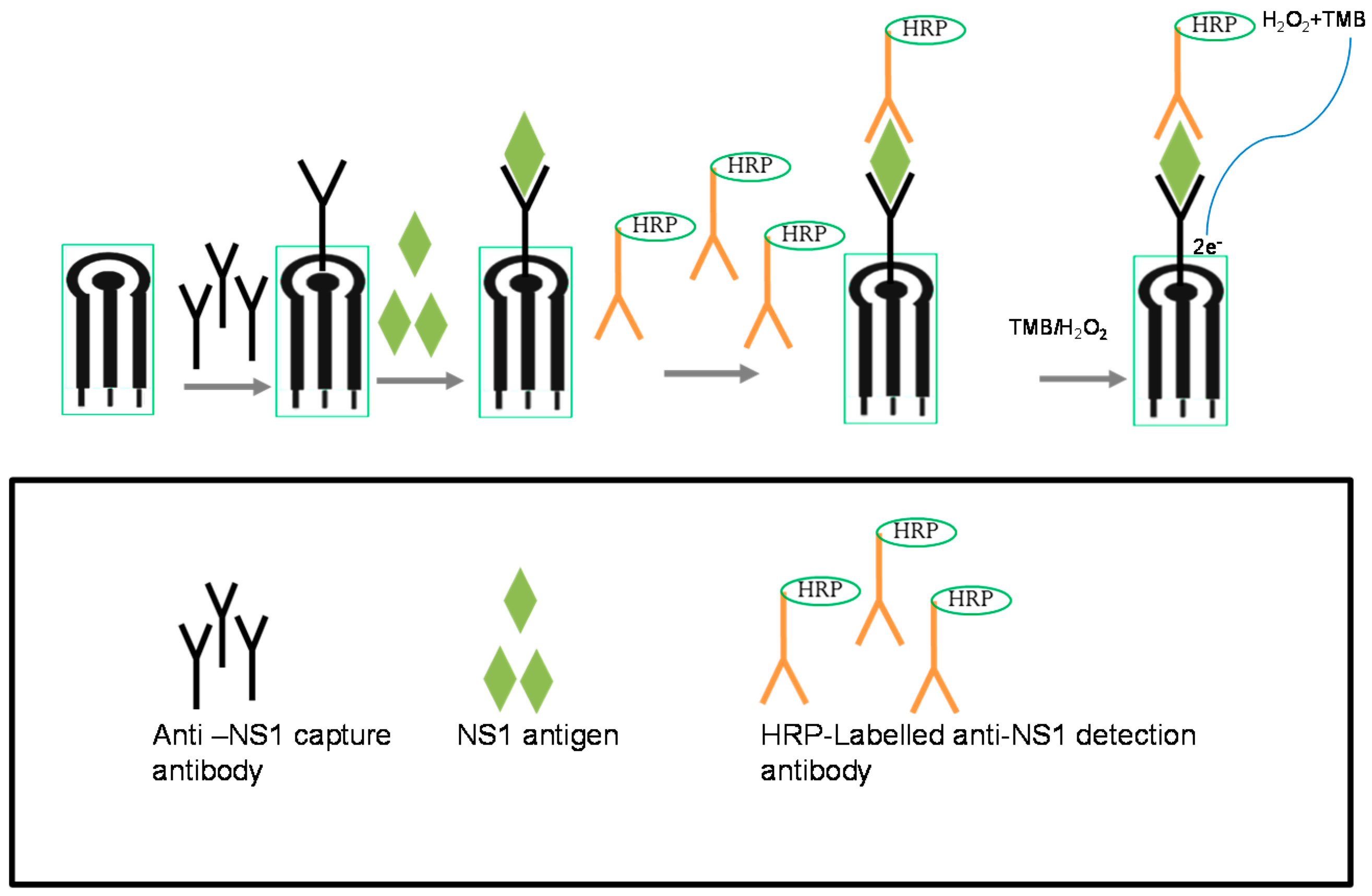 Diagnostics Free FullText Screen Printed Carbon Electrode Based