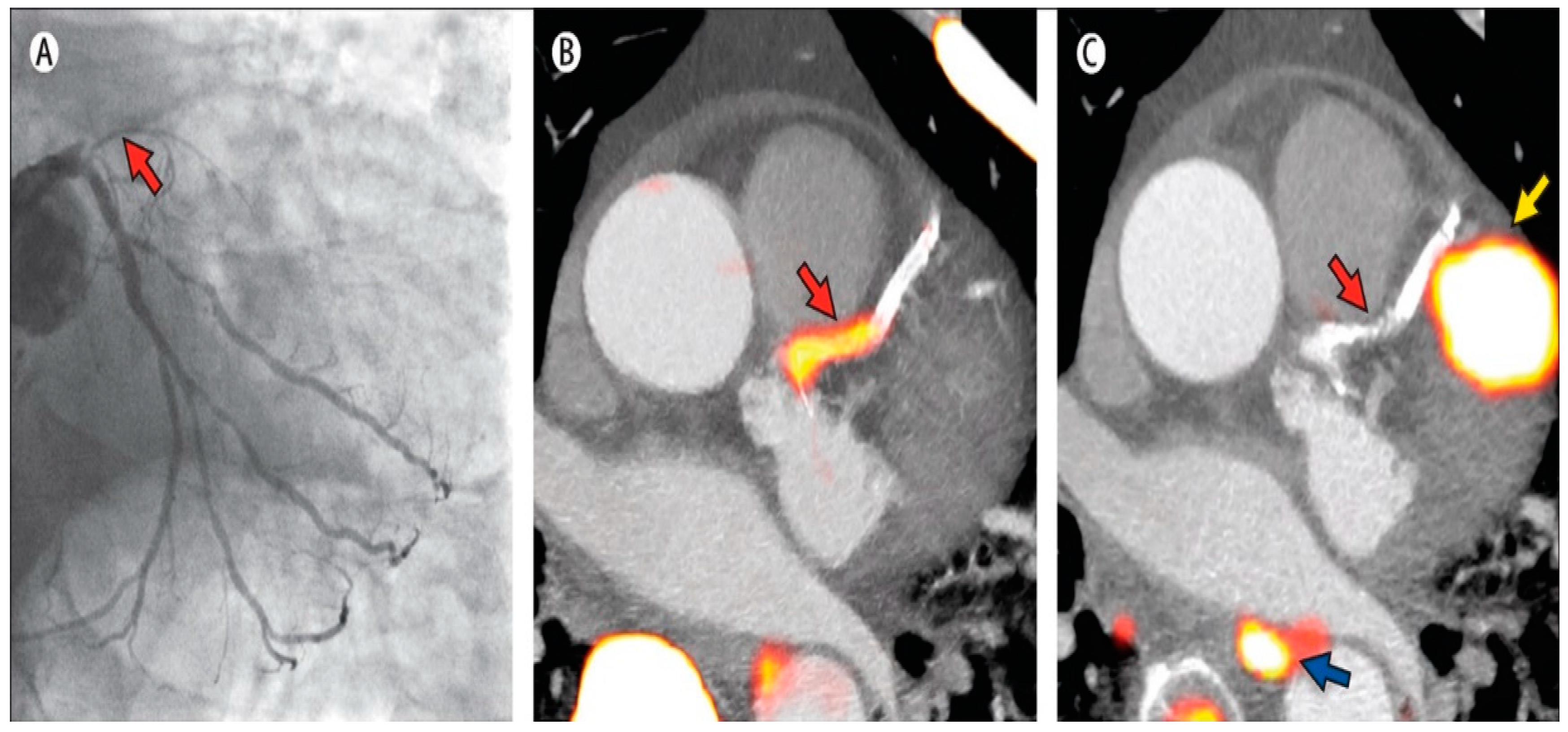 Diagnostics 06 00032 g004