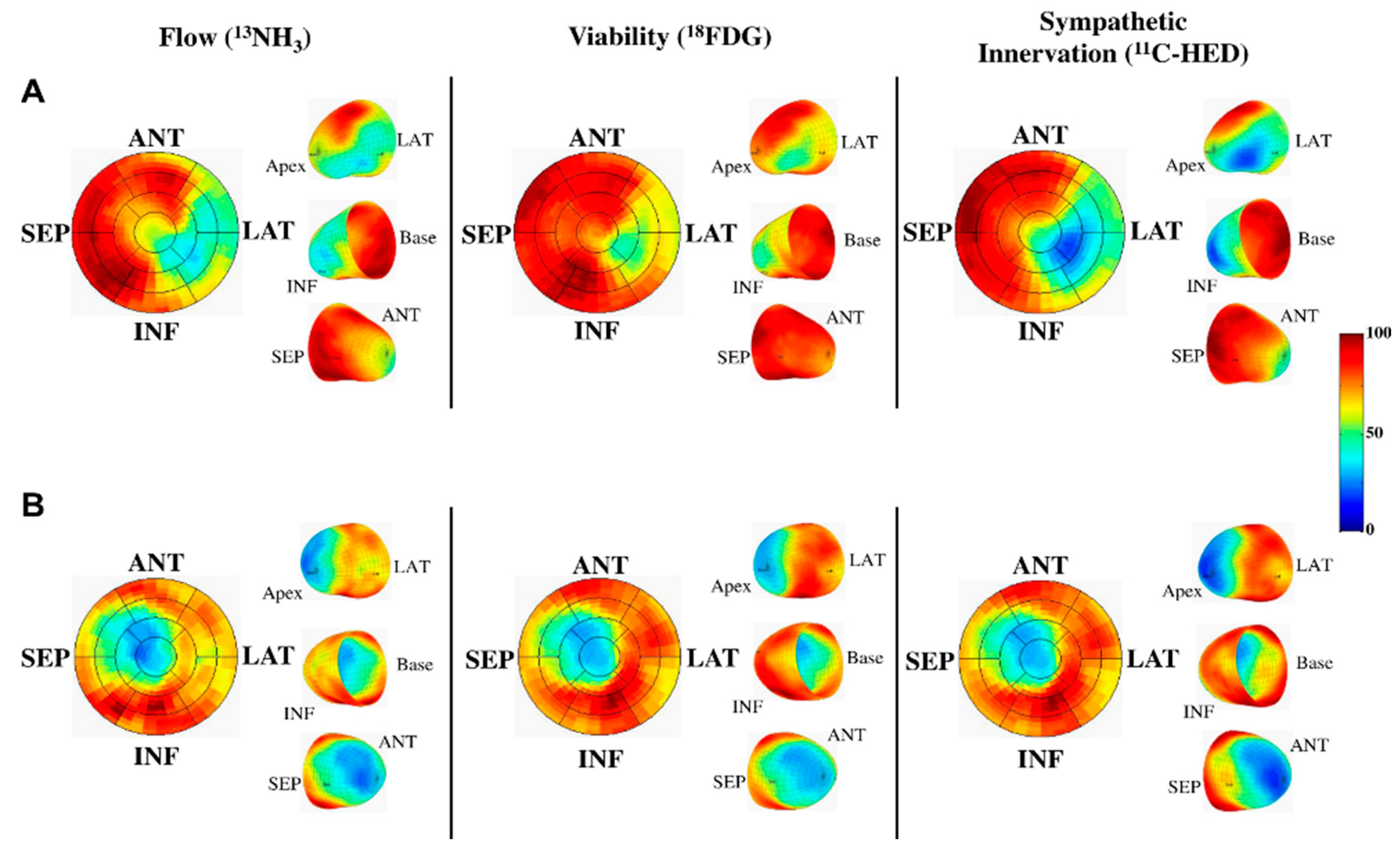 Diagnostics 06 00032 g006
