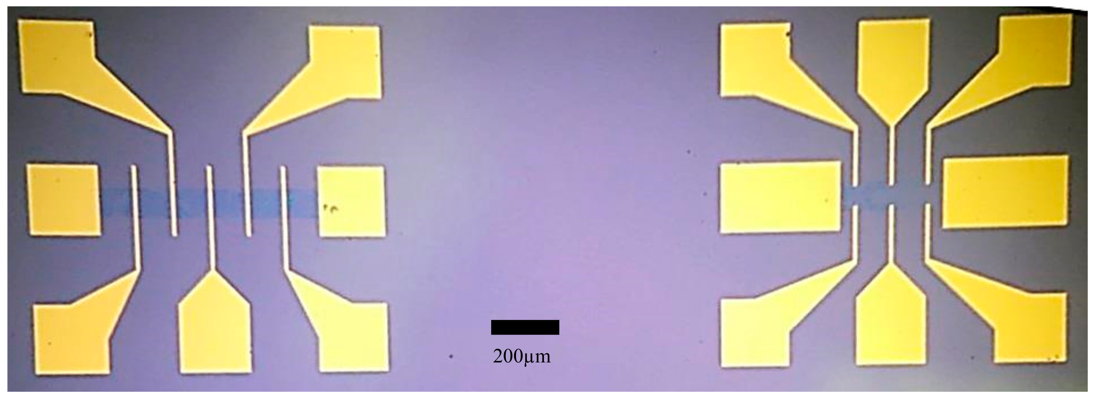 Diagnostics 08 00005 g001