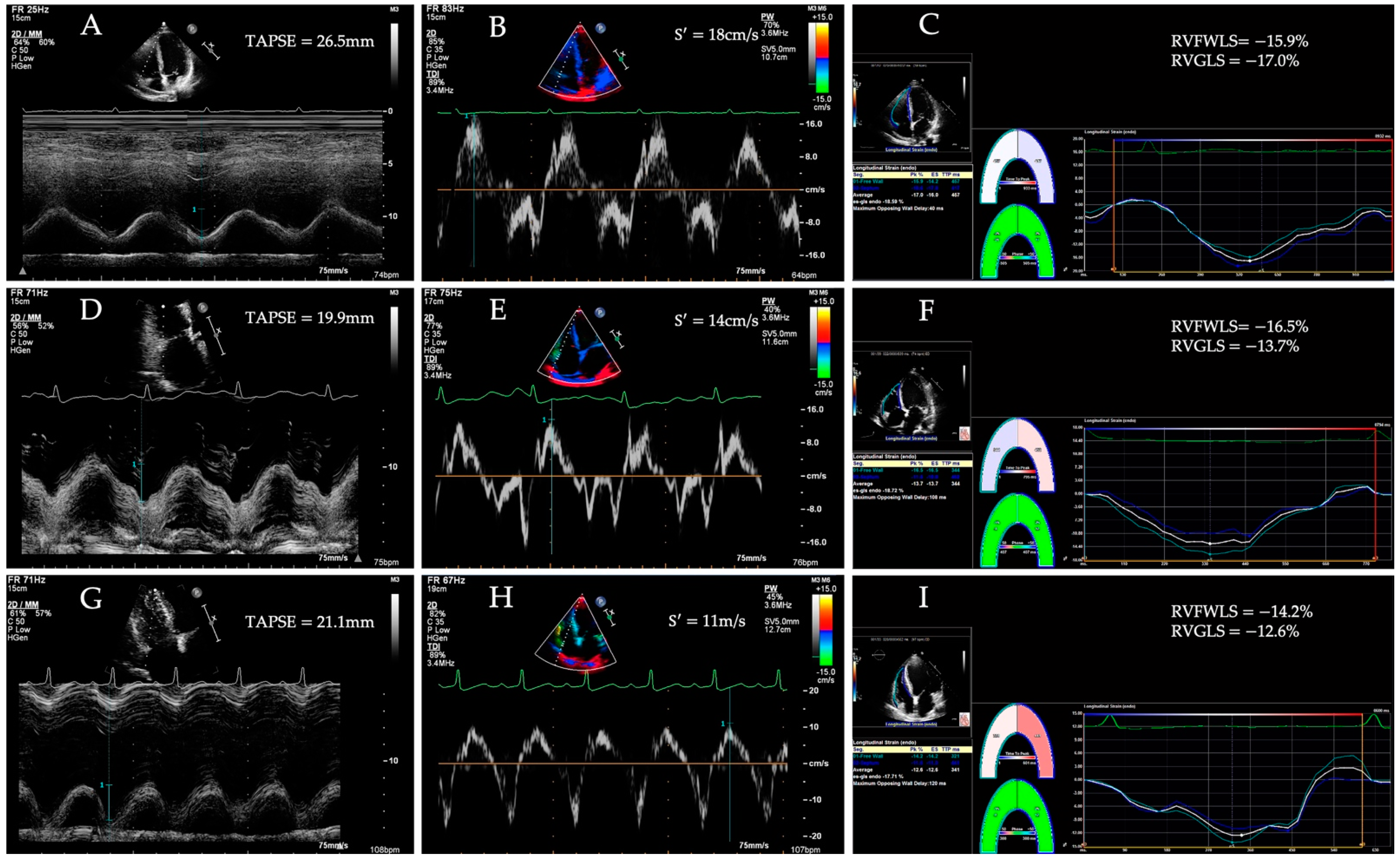 Diagnostics 12 00445 g003