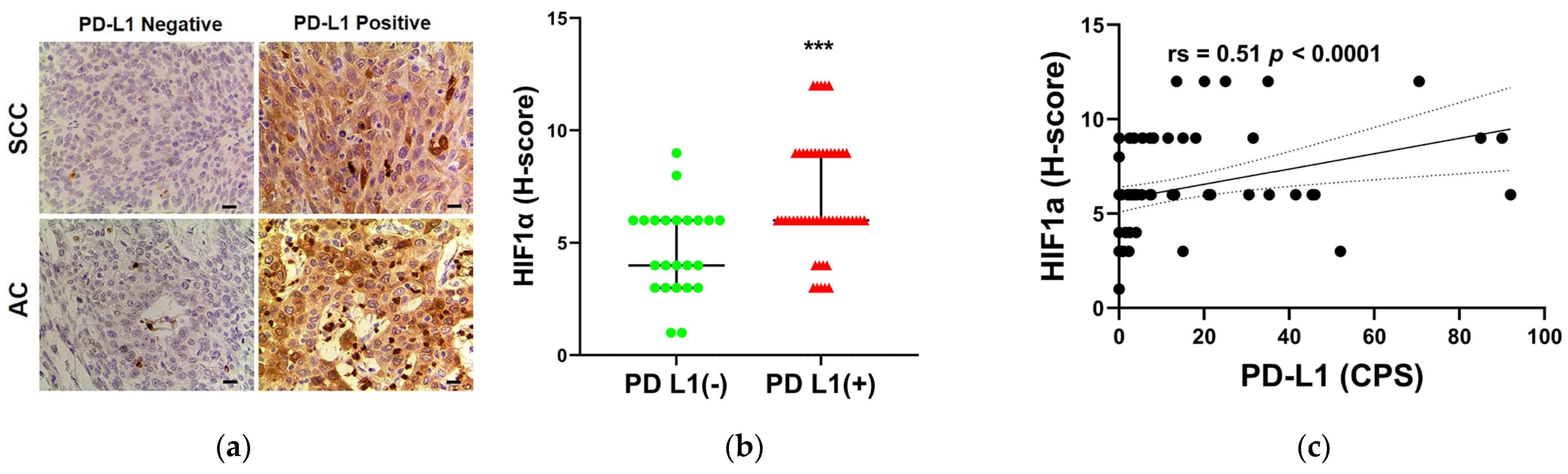 Diagnostics 13 01015 g005