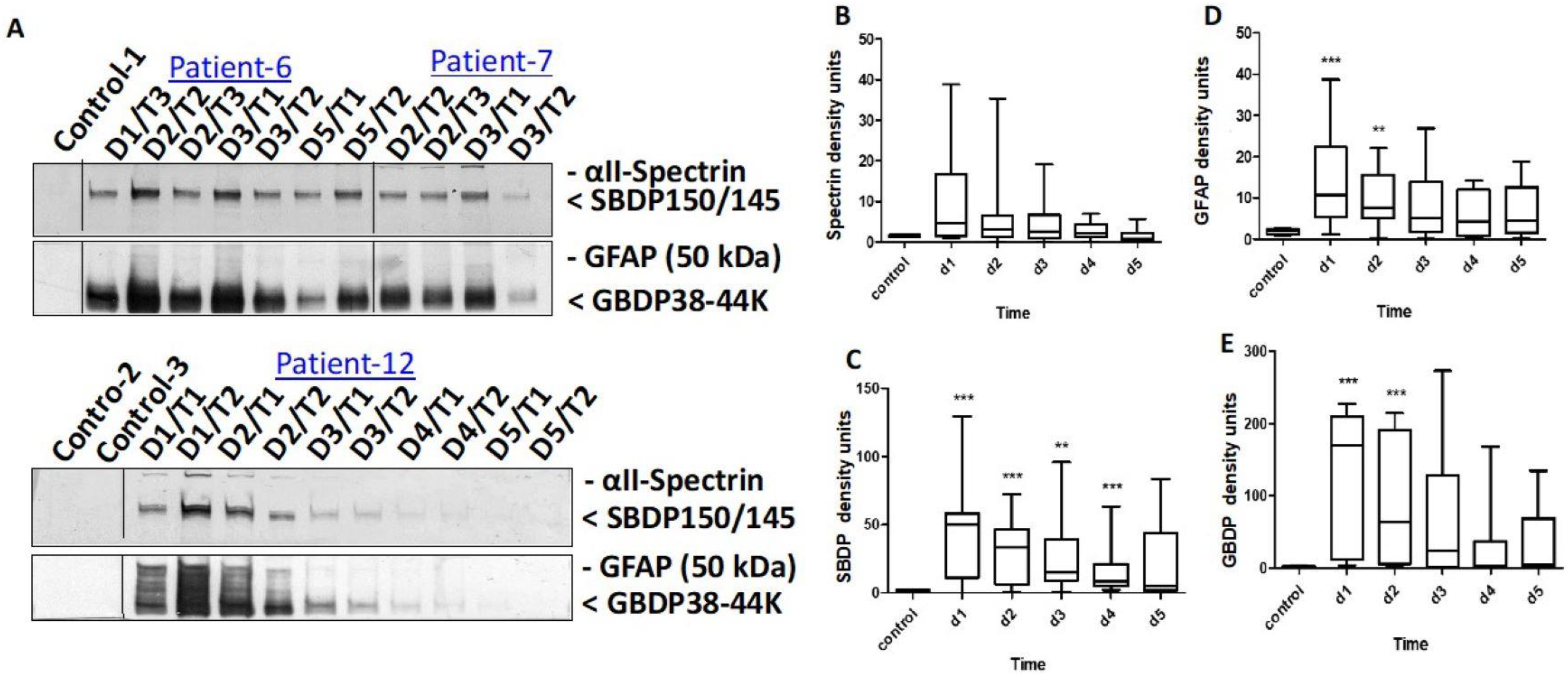 Diagnostics 13 01814 g001