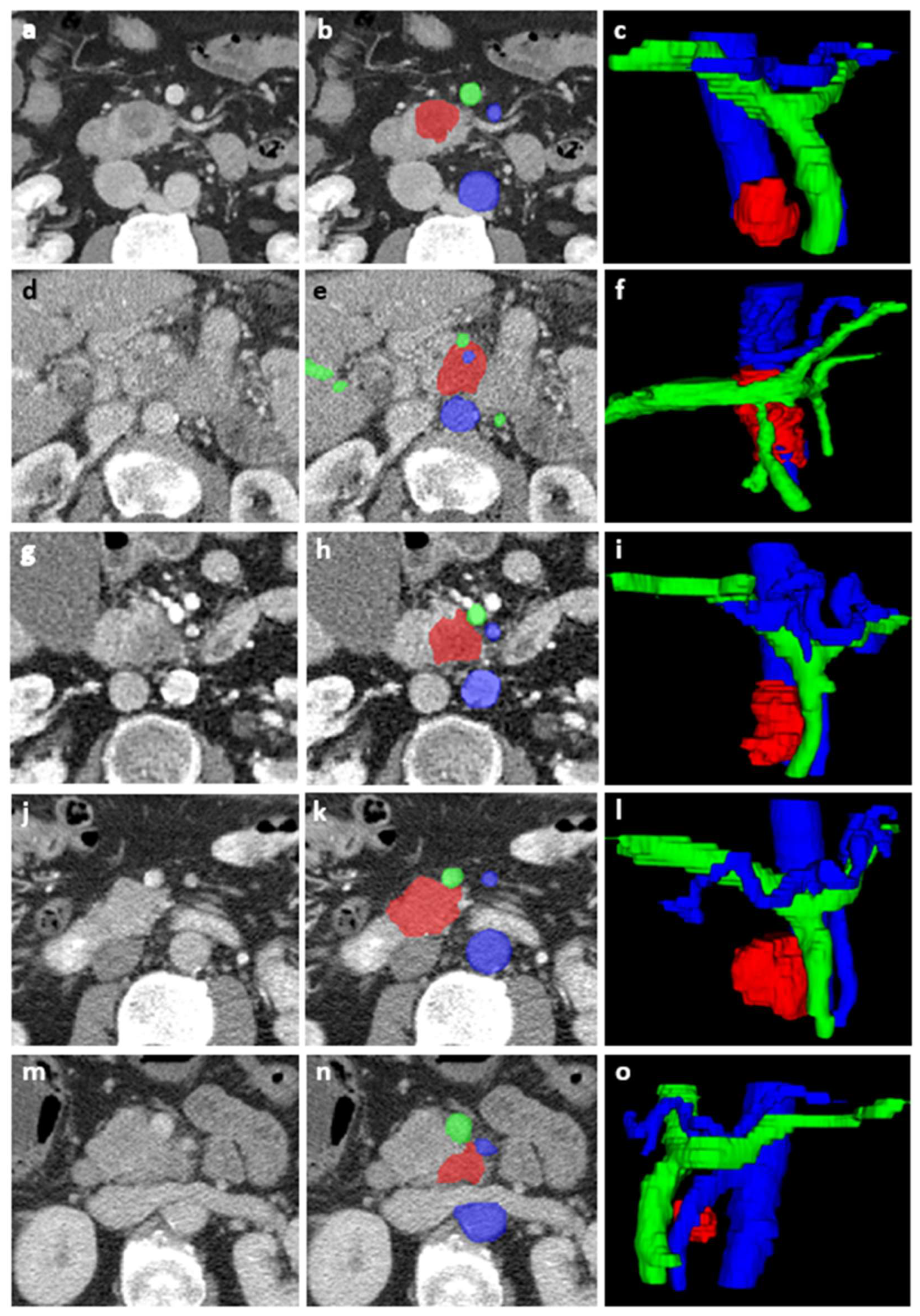 Diagnostics 13 03198 g002