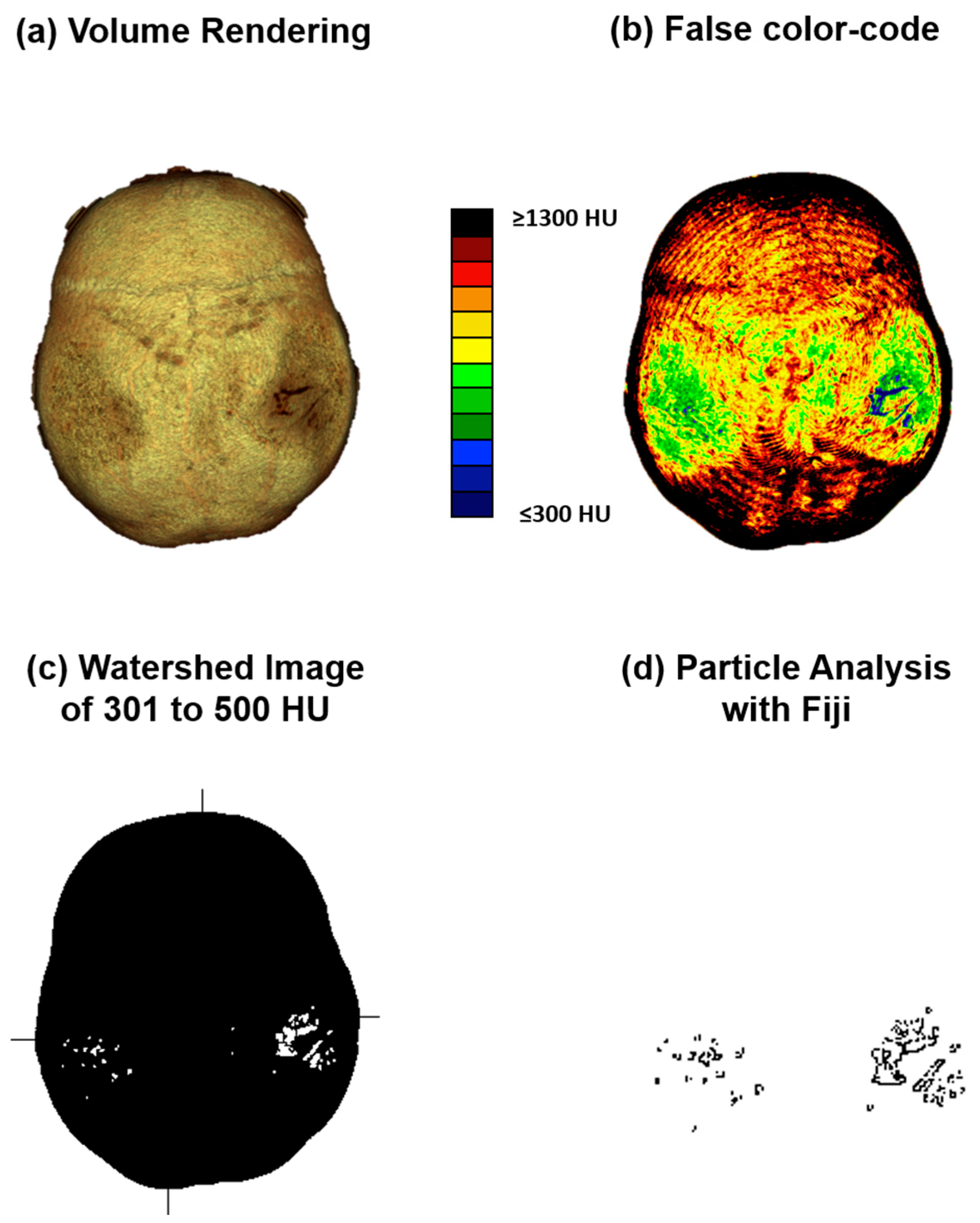 Diagnostics 14 00446 g002