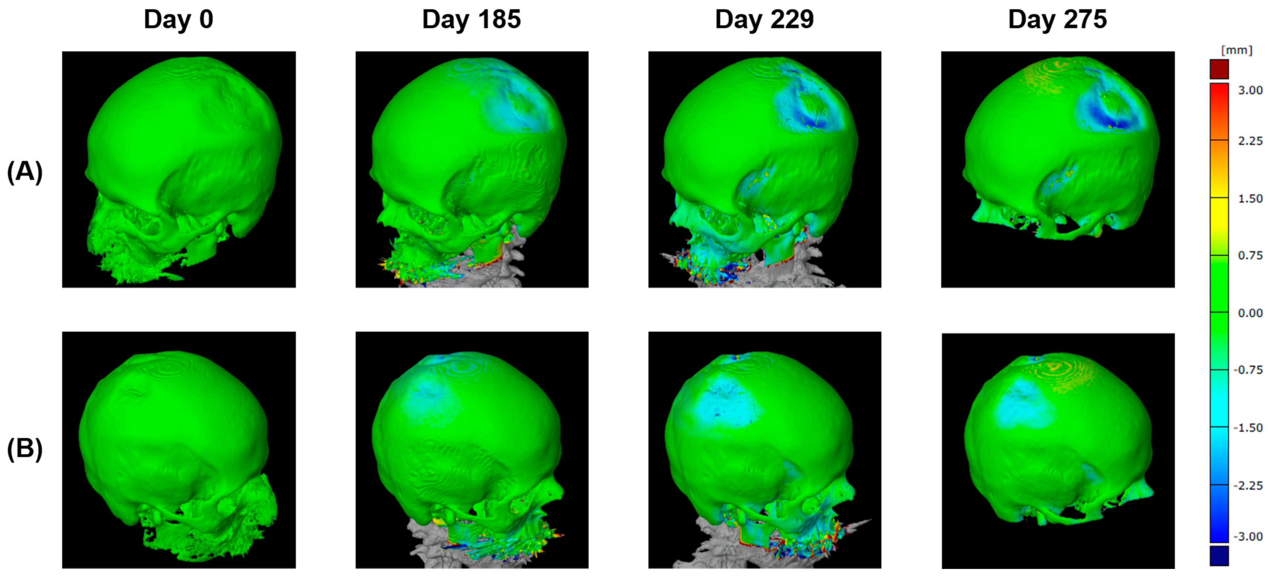 Diagnostics 14 00446 g008