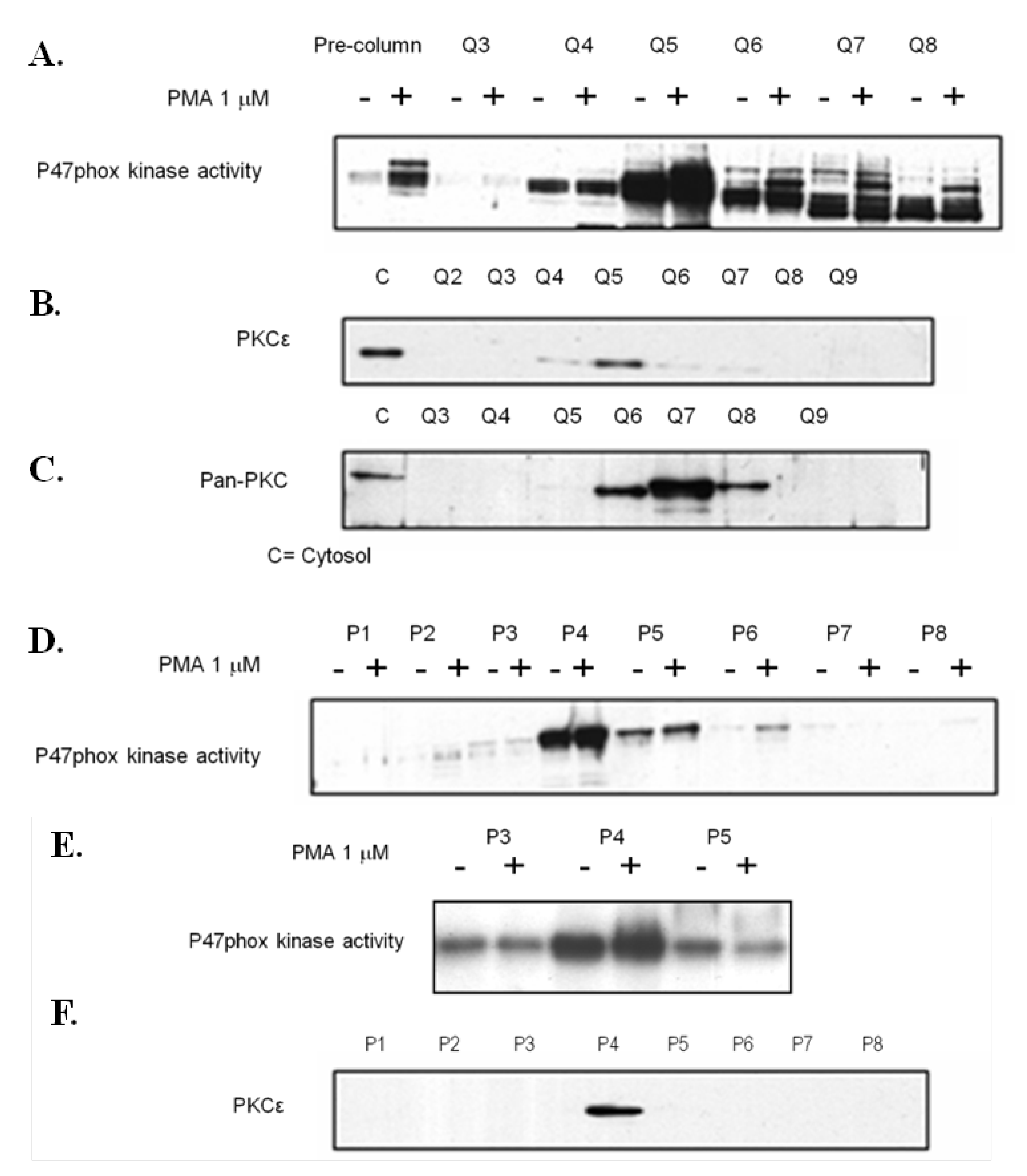Diseases 01 00001 g005