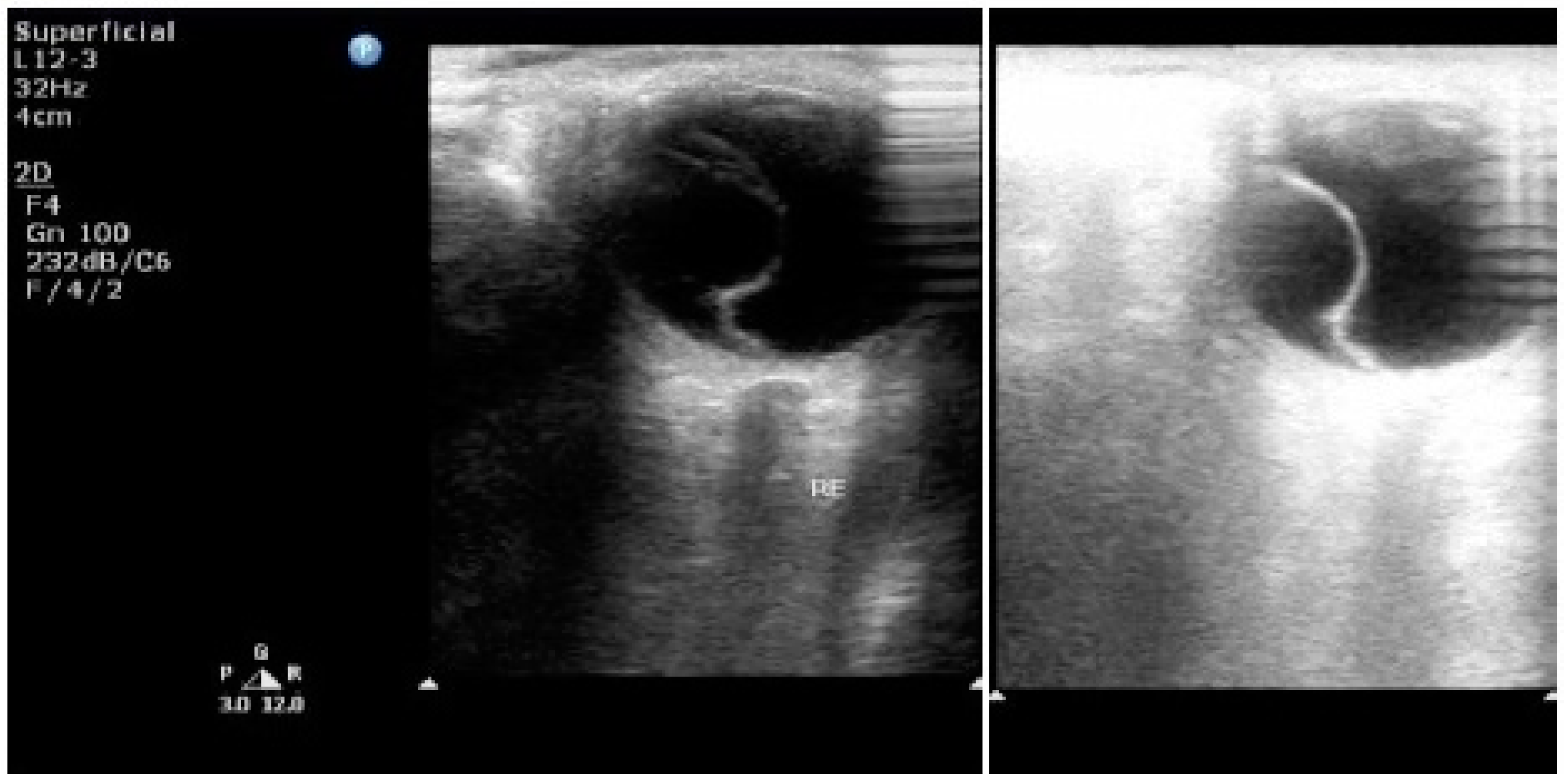 Diseases 04 00019 g003