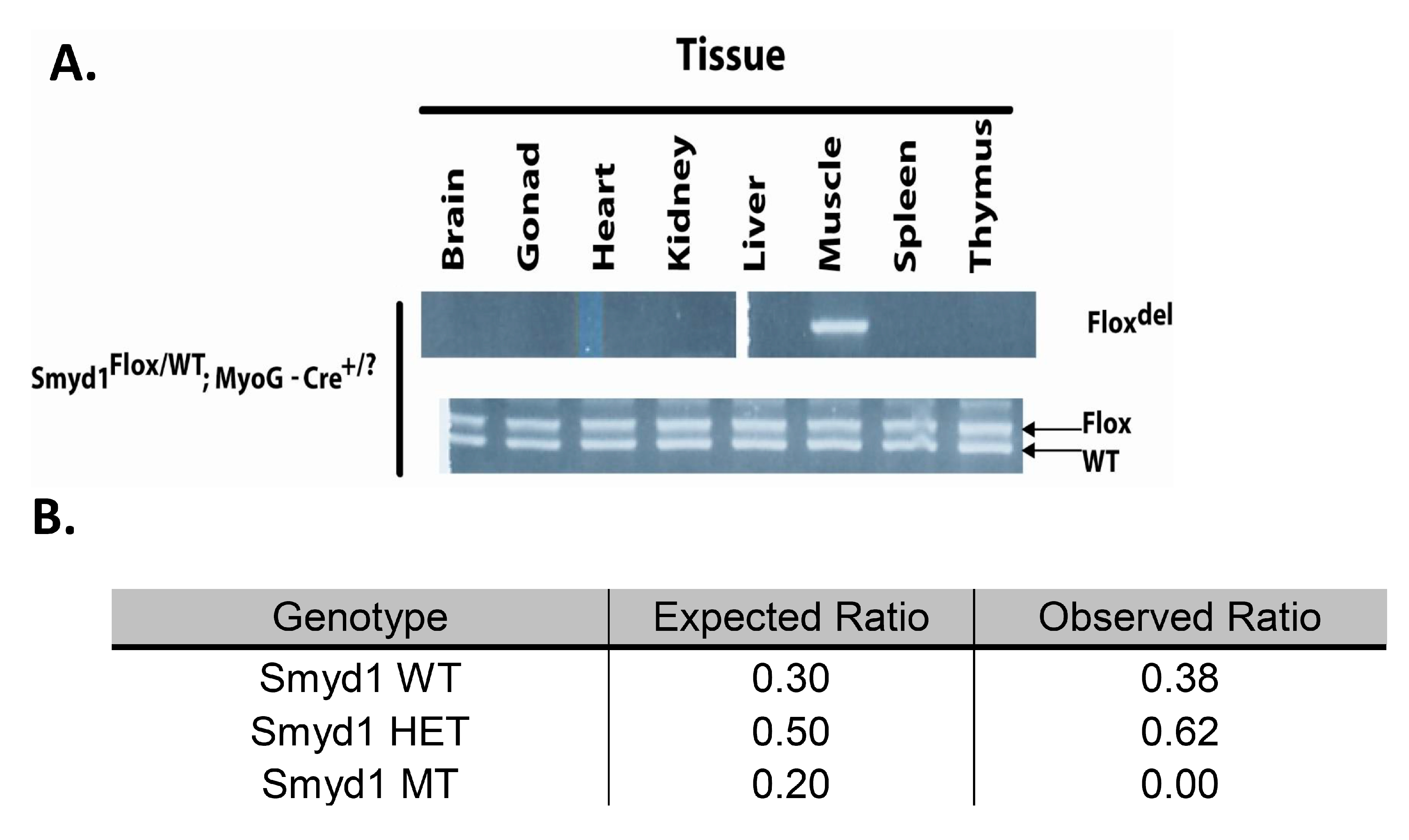 Diseases 07 00001 g001