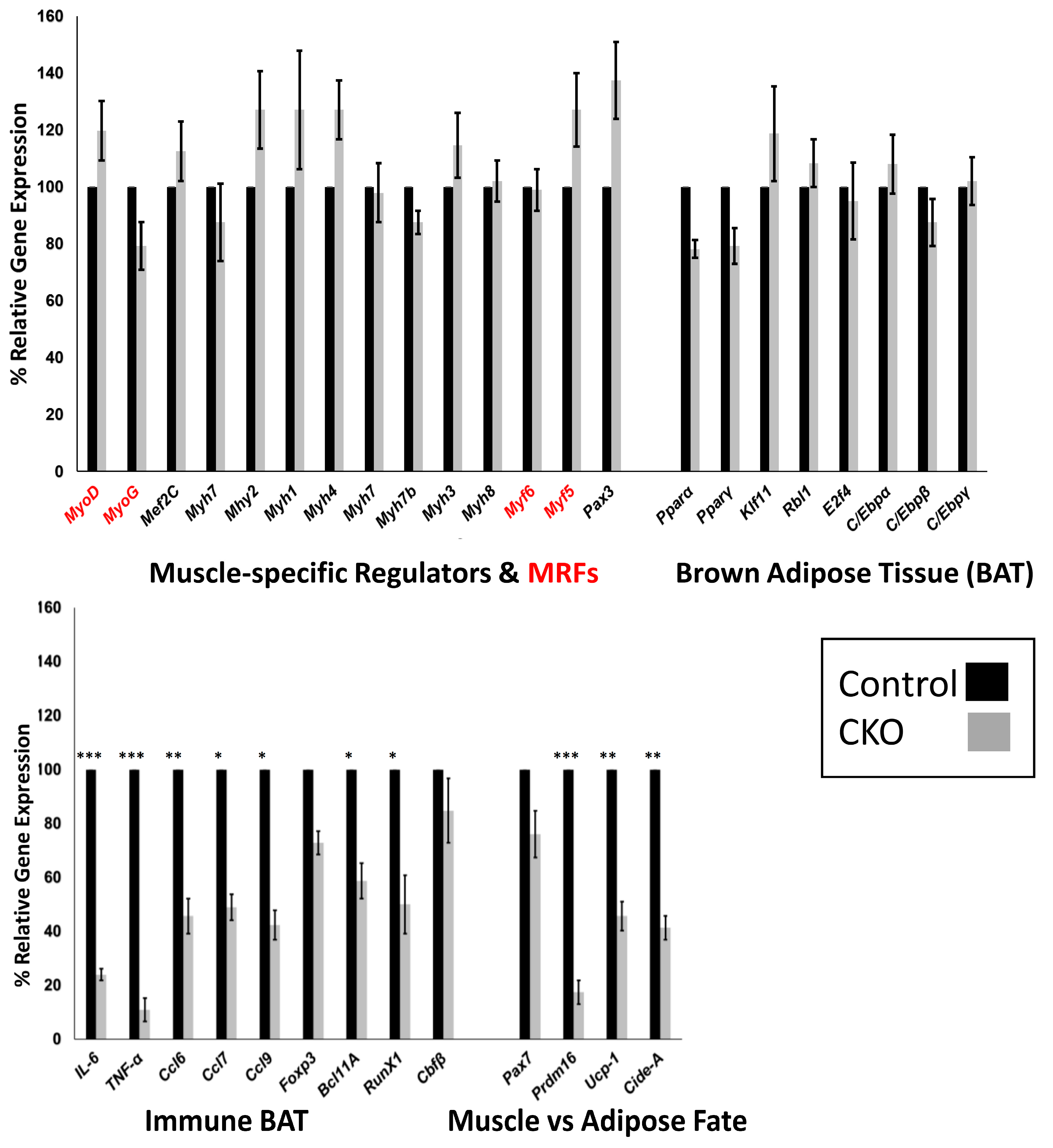 Diseases 07 00001 g004