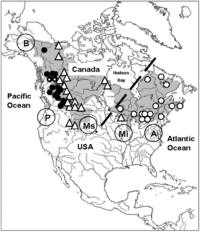 Diversity 05 00149 g002 200