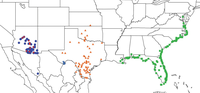 Diversity 05 00166 g004 200