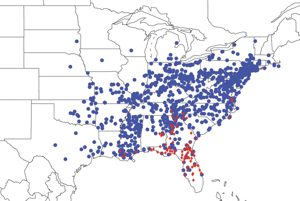 Diversity 05 00166 g010 1024
