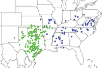 Diversity 05 00166 g016 200
