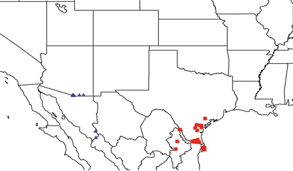Diversity 05 00166 g026 1024
