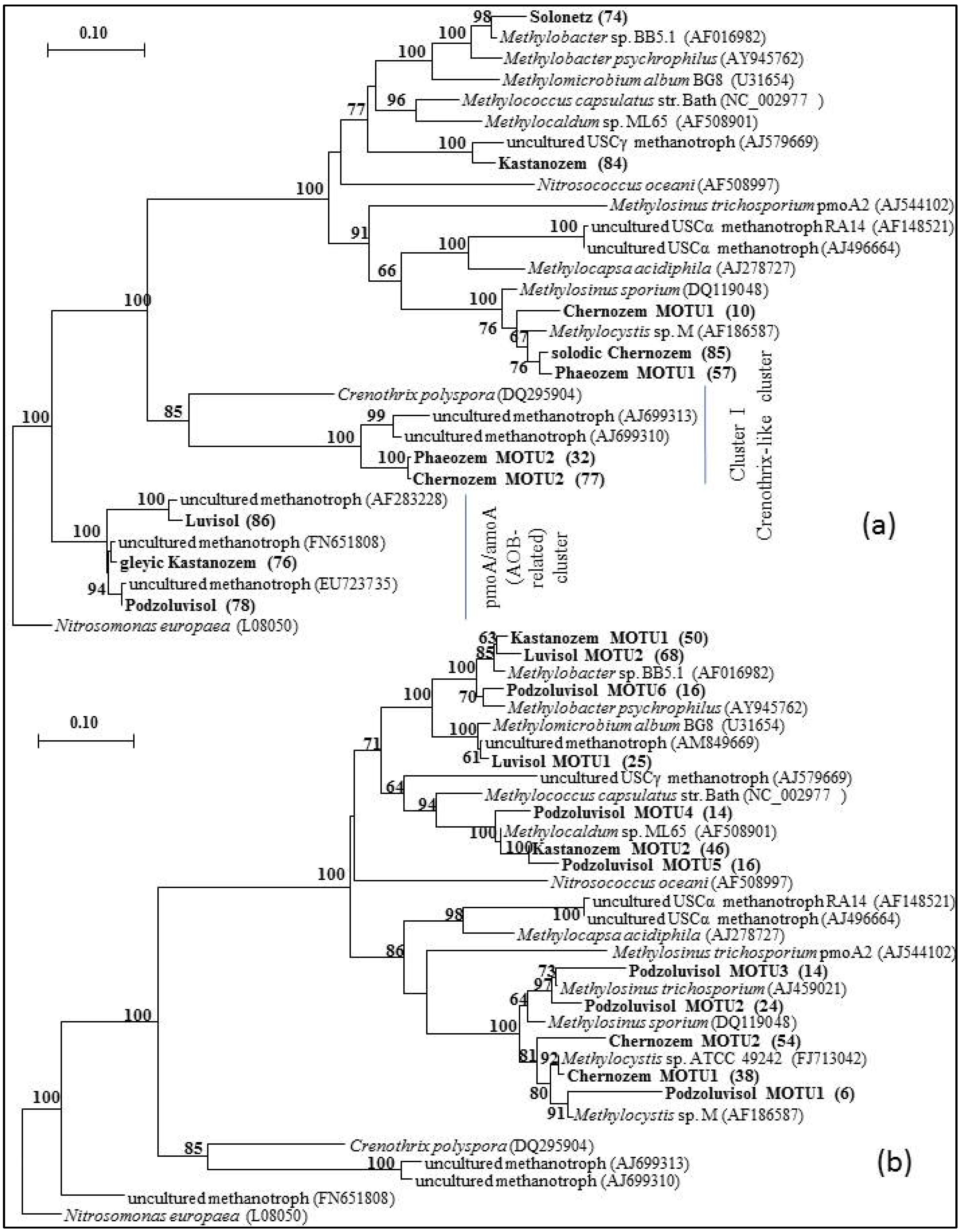Diversity 05 00541 g002