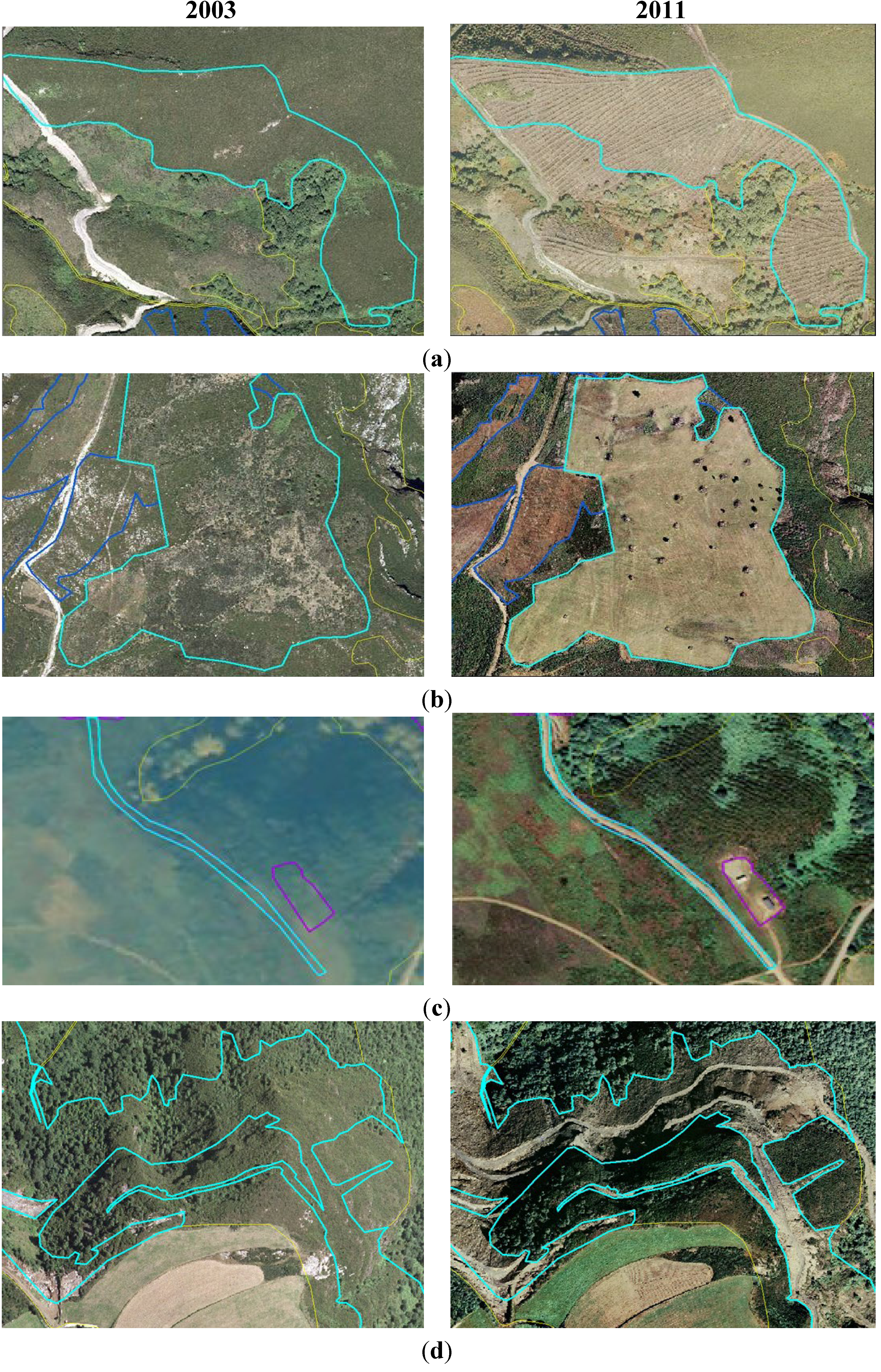 Diversity 05 00557 g004