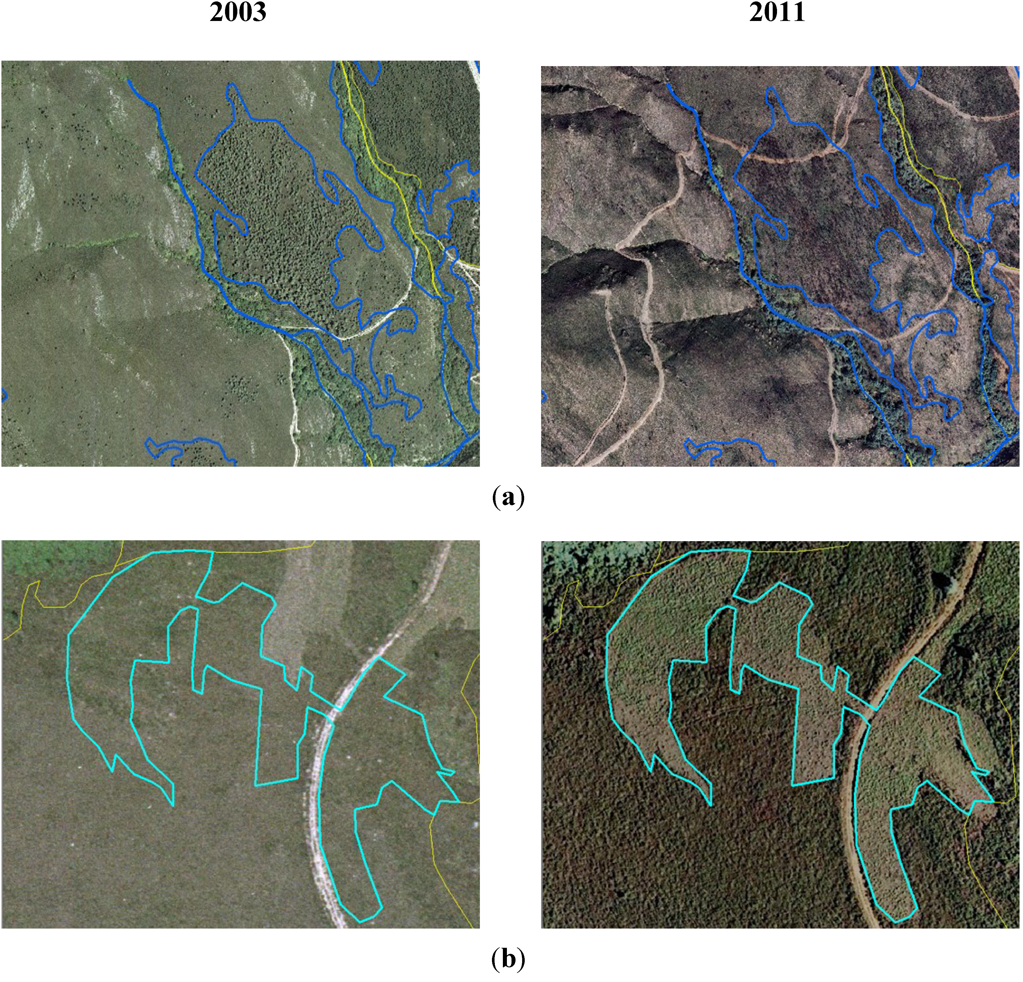 Diversity 05 00557 g005