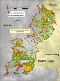 Diversity 05 00557 g006 200