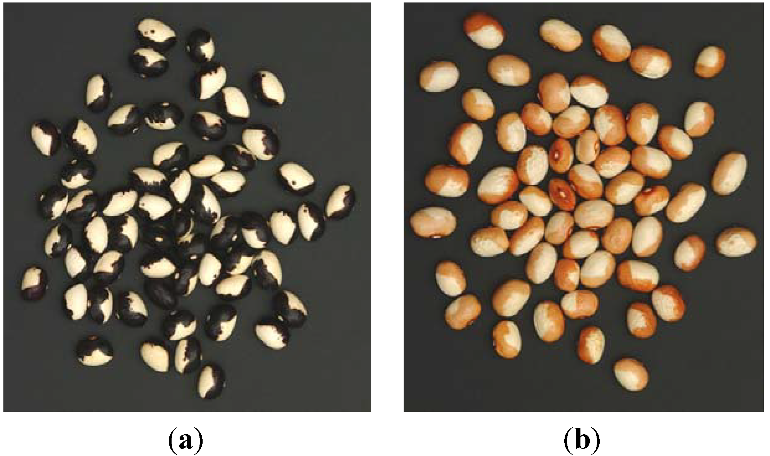 Diversity 05 00843 g002