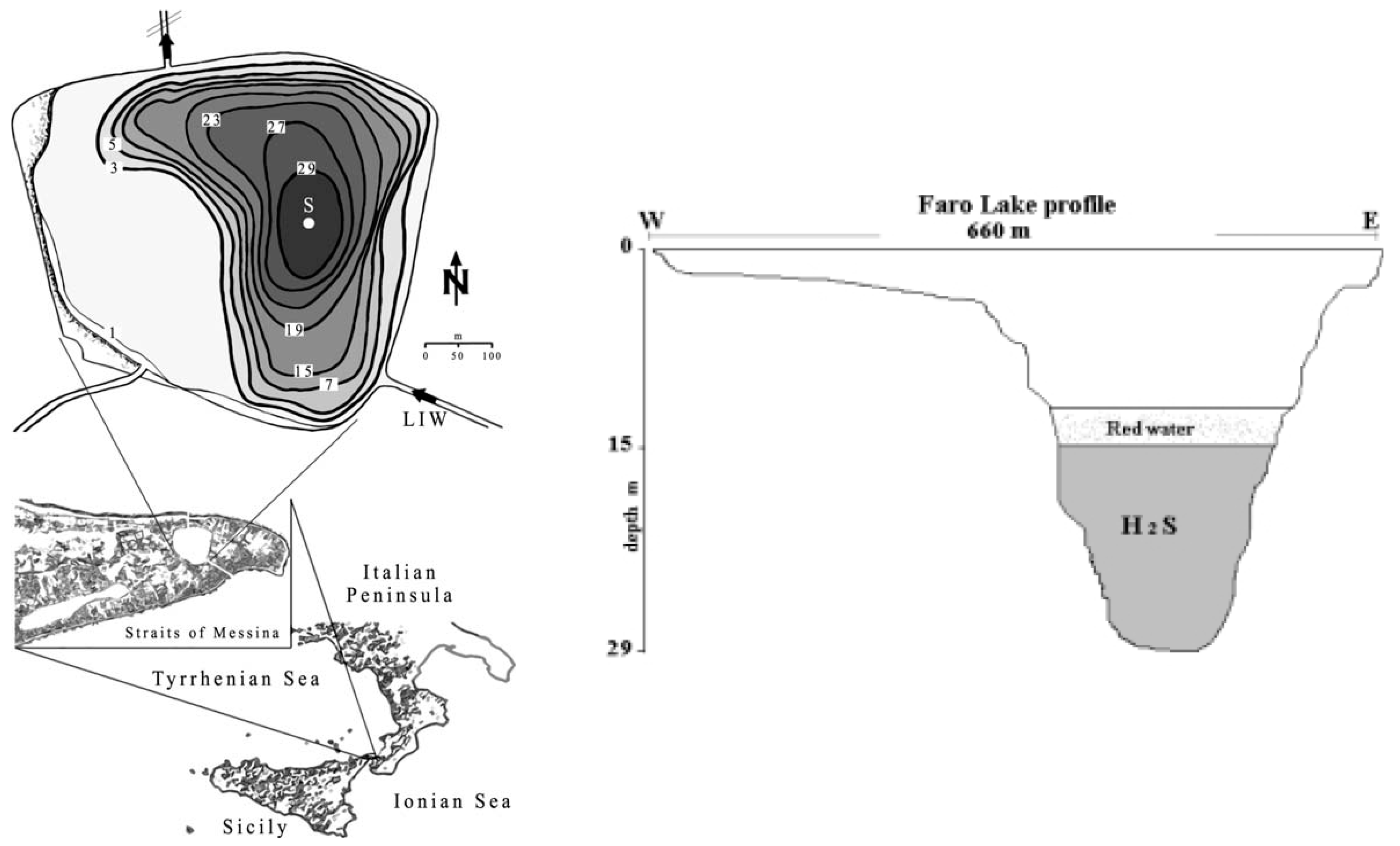 Diversity 11 00037 g001