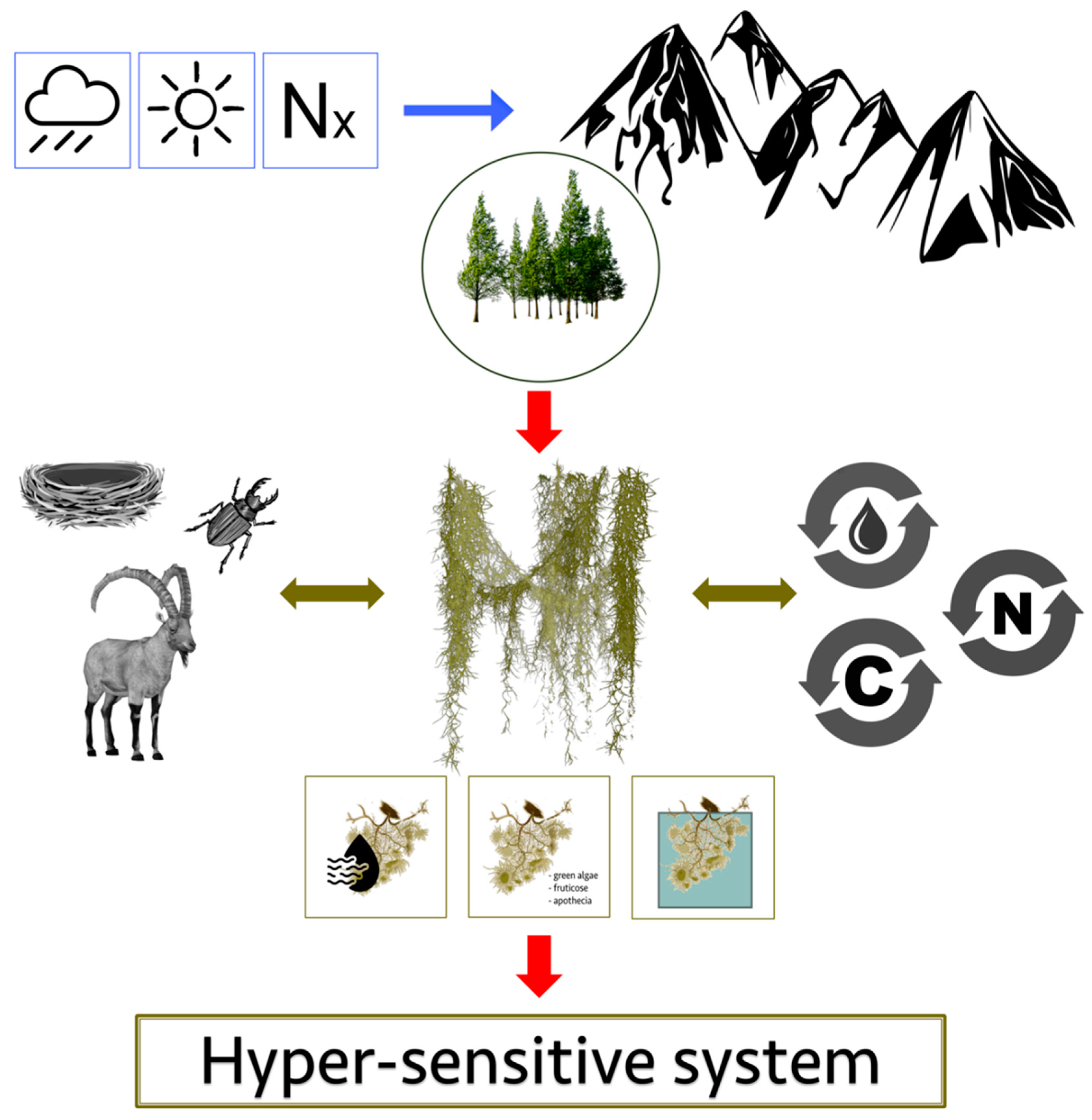 Diversity 11 00045 g001 Diversity 11 00045 g001
