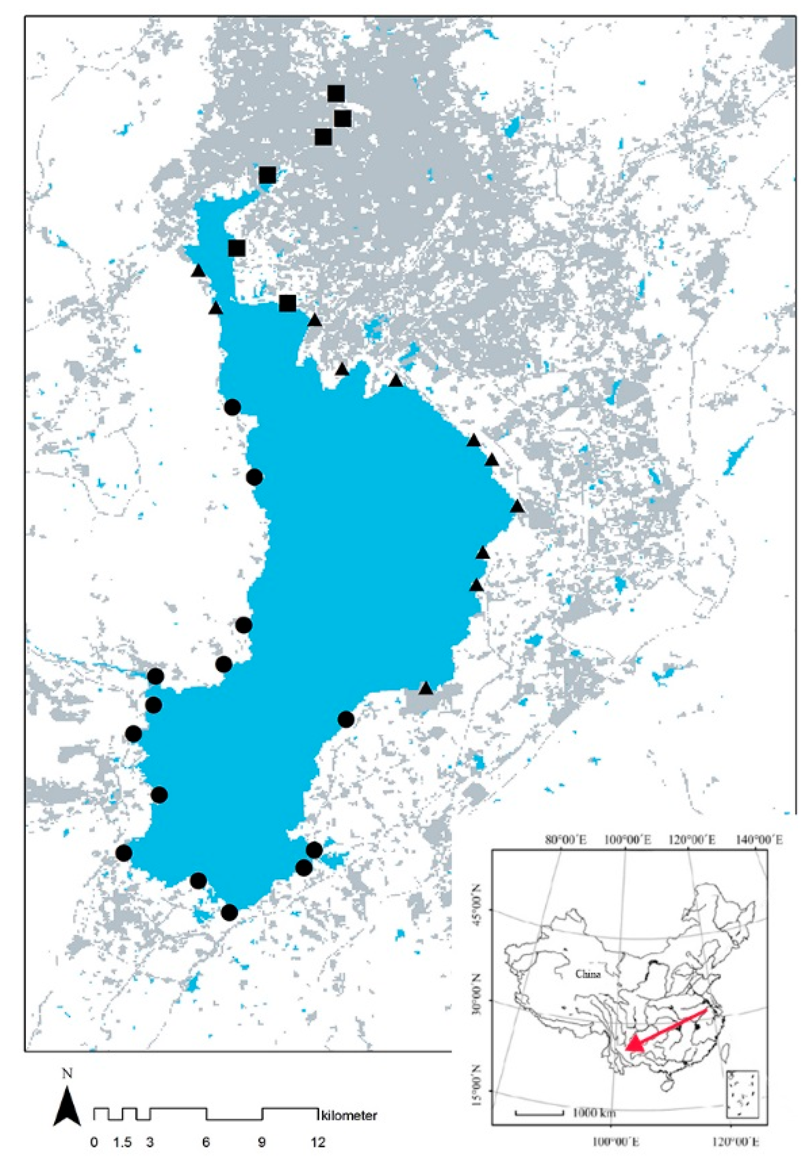 Diversity 11 00086 g001