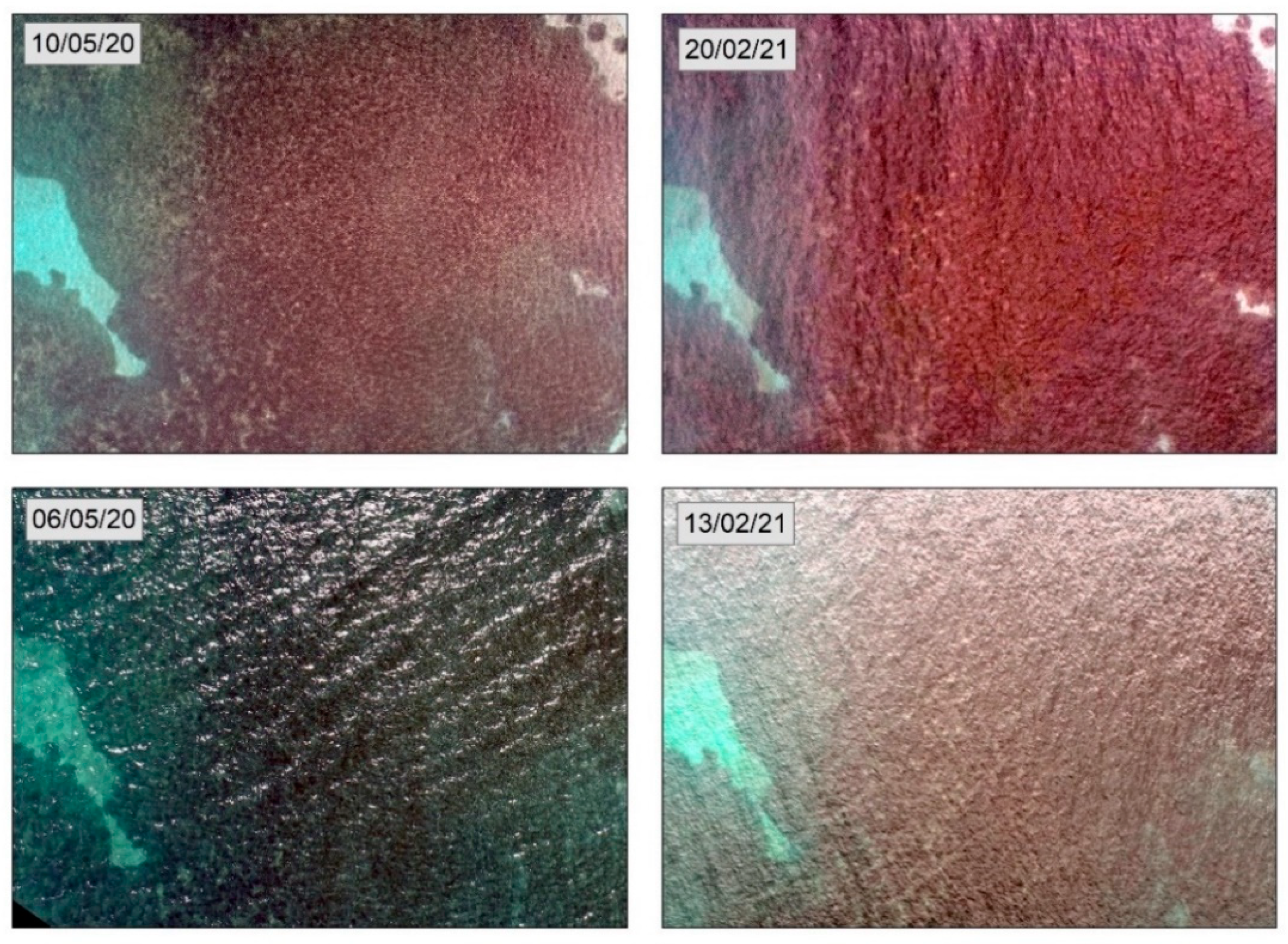 Drones 05 00073 g005