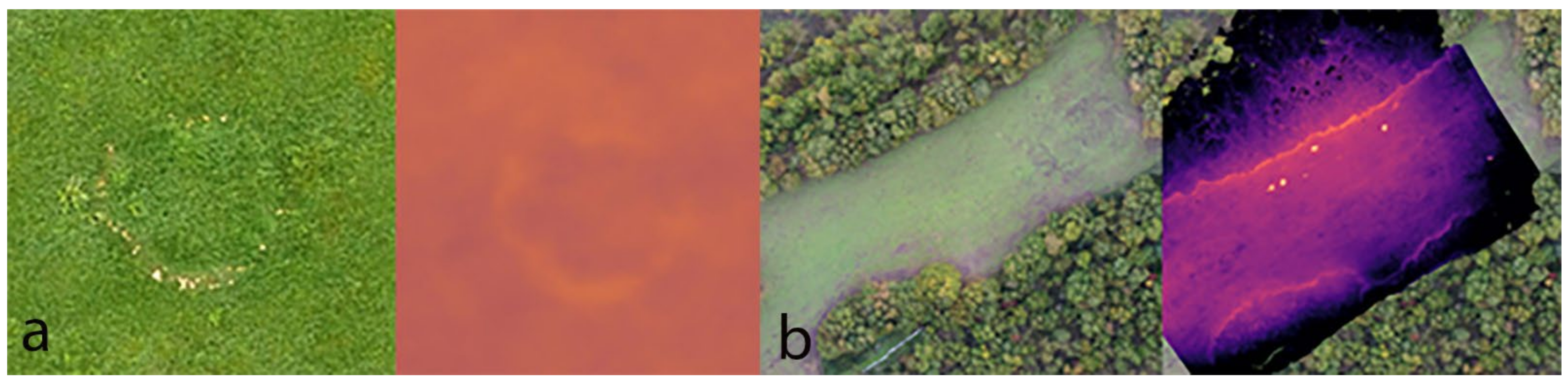 Drones 06 00165 g002