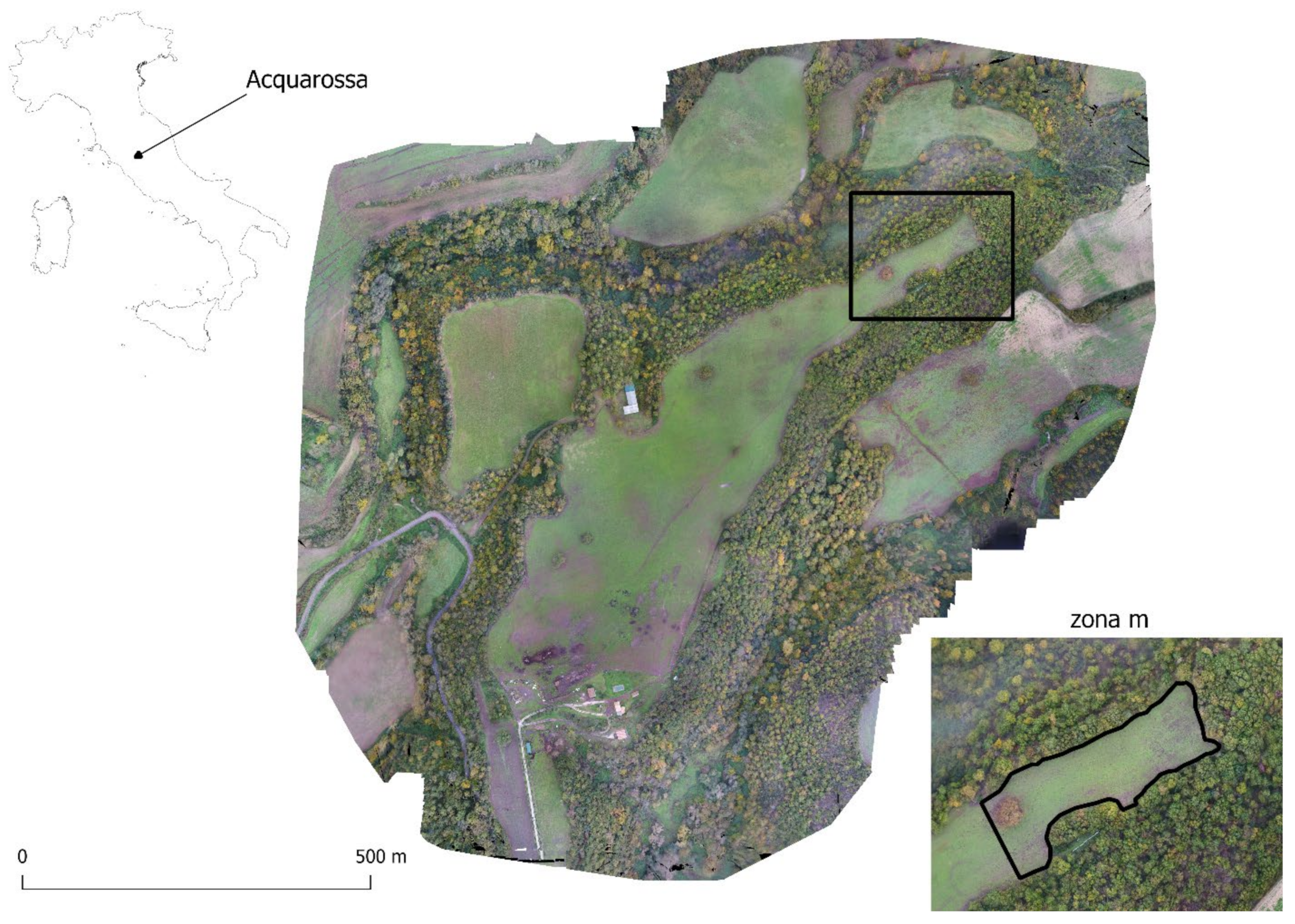 Drones 06 00165 g010