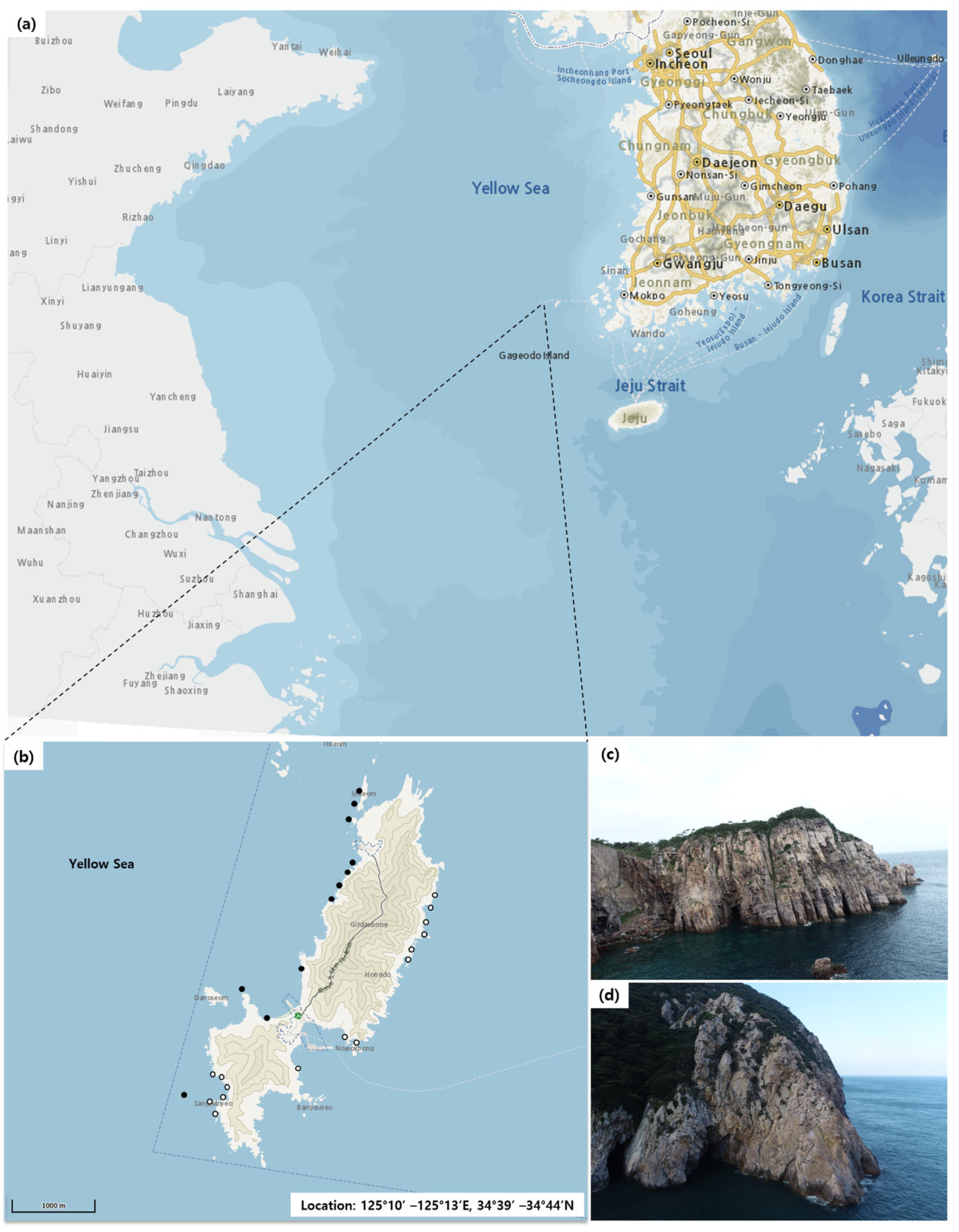 Drones 07 00140 g001