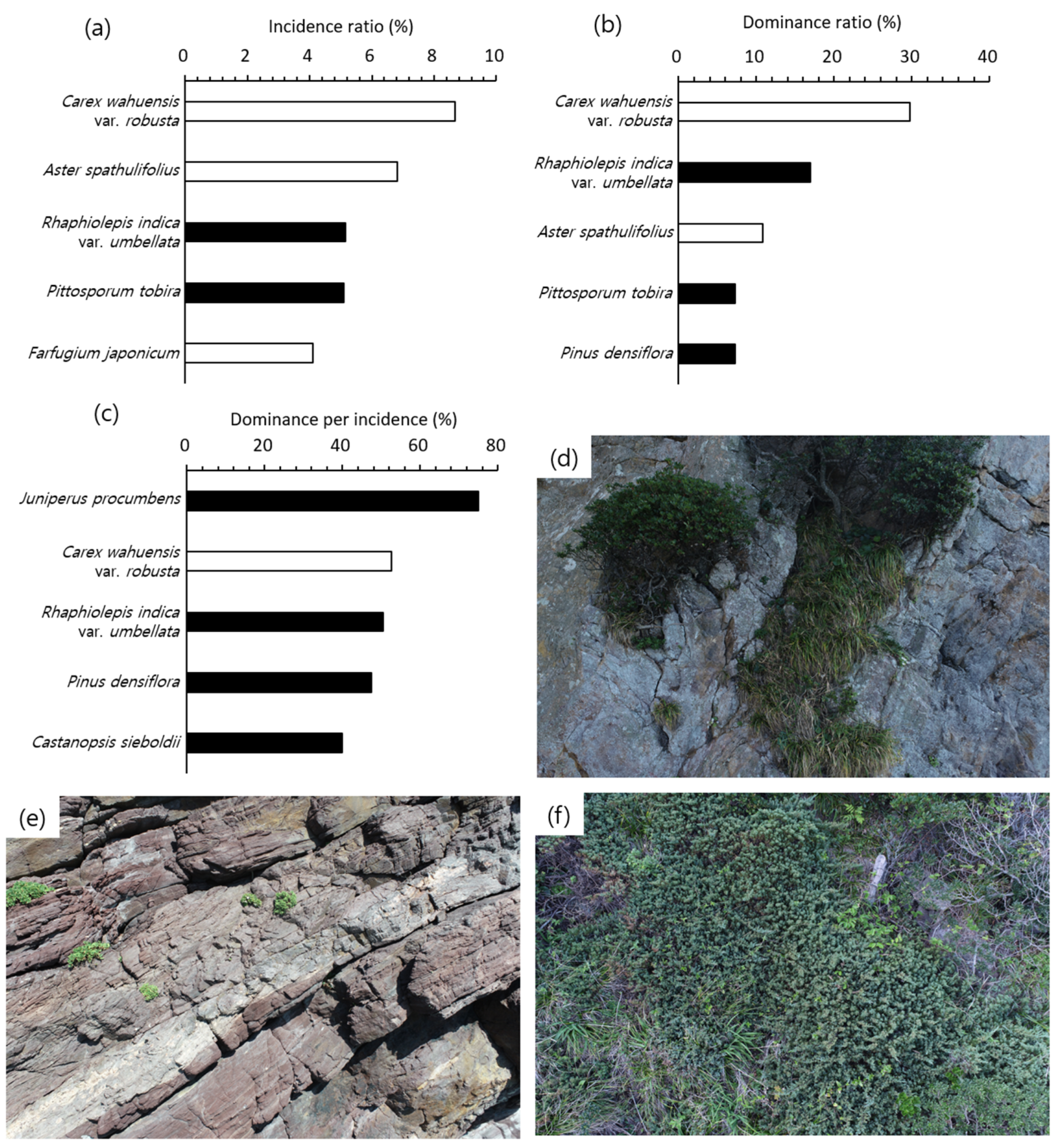 Drones 07 00140 g003