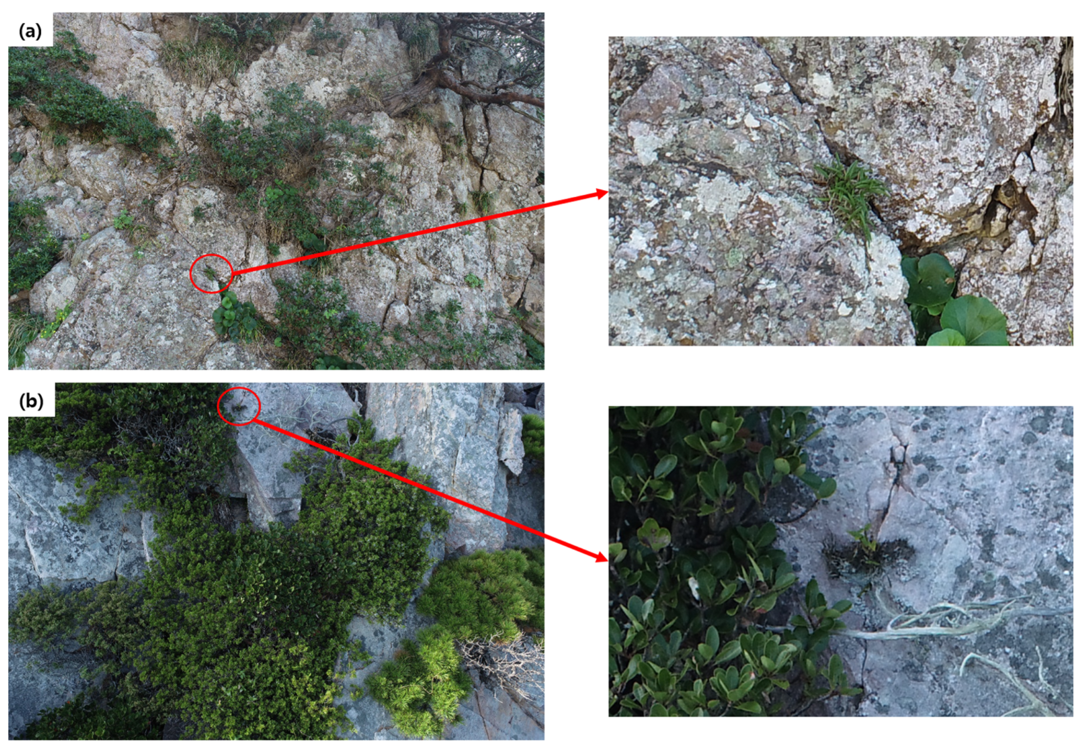 Drones 07 00140 g0a1