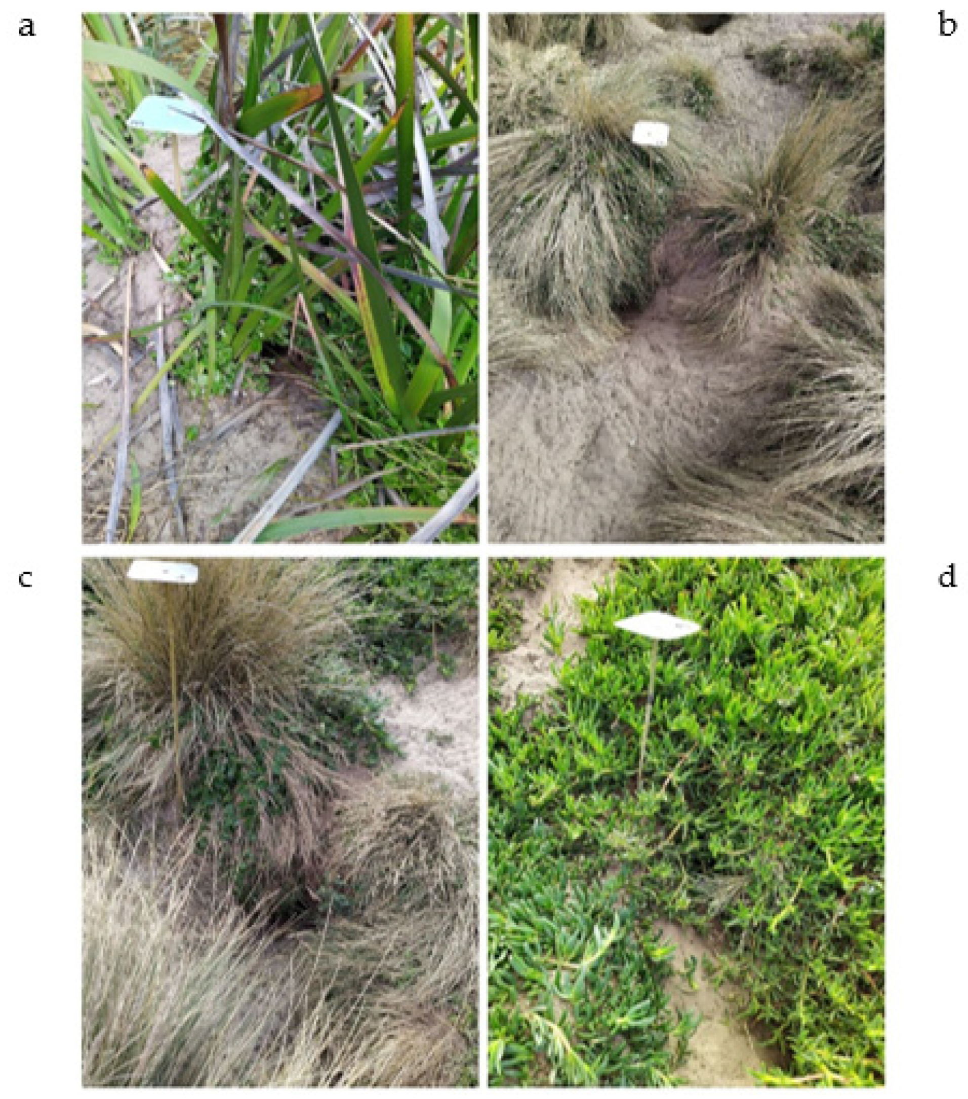 Drones 07 00674 g003