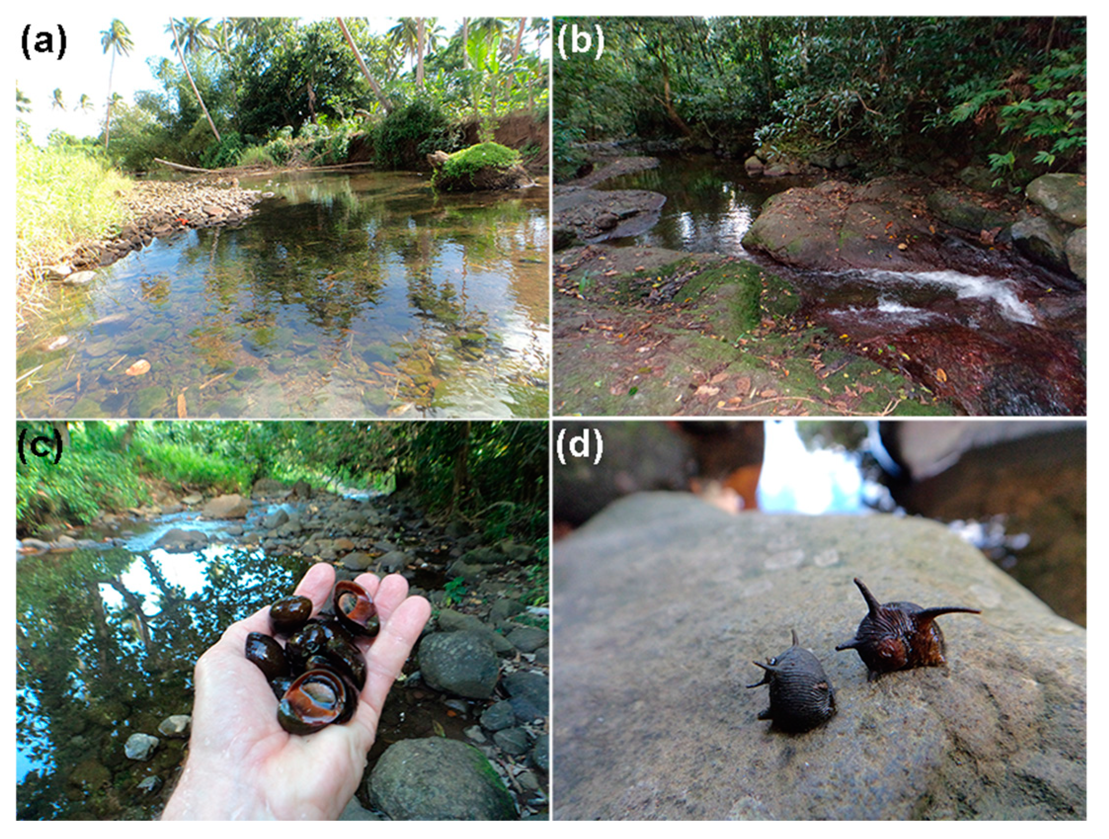 Ecologies 01 00002 g002